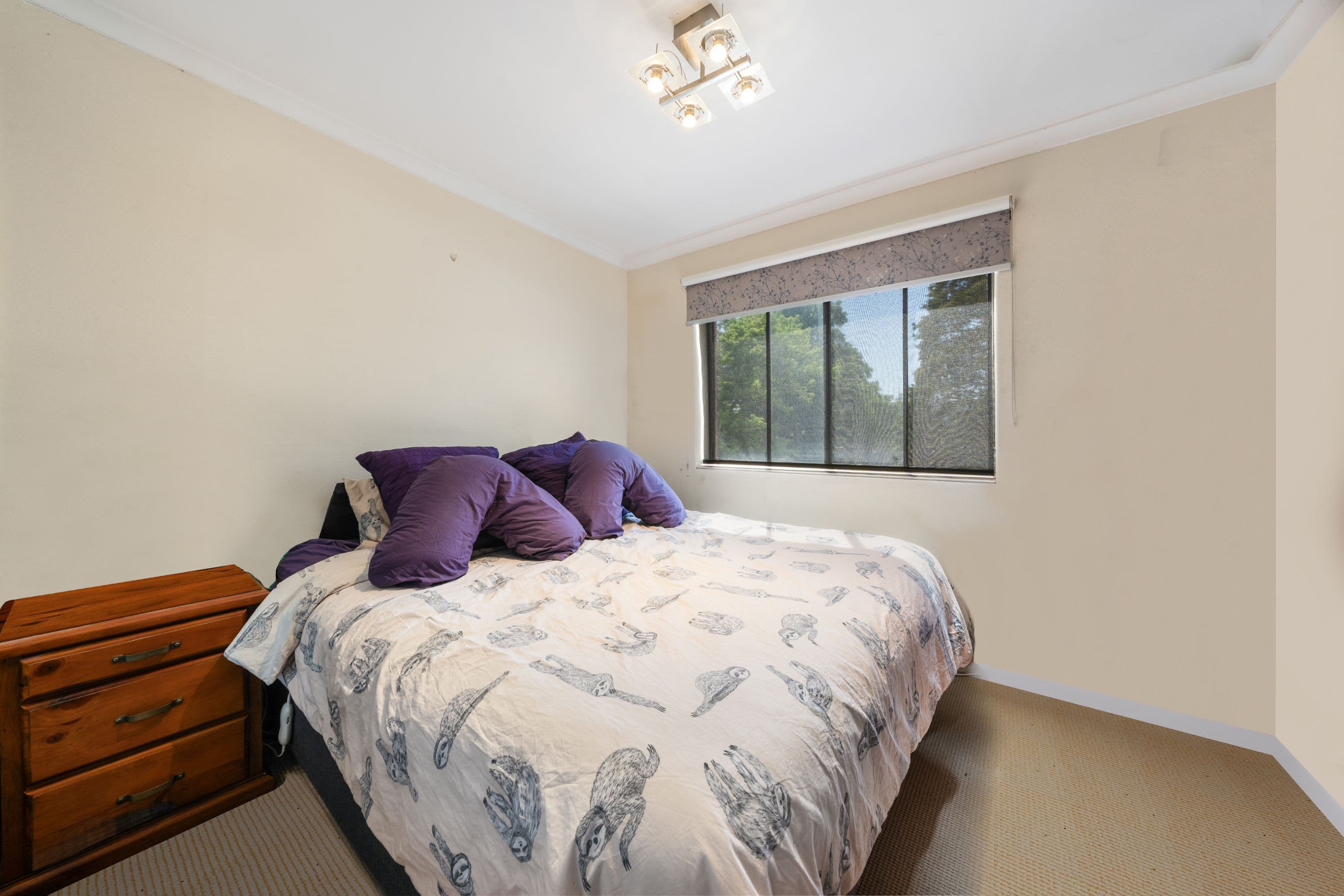 20 Charles Street, Queanbeyan NSW 2620, Queanbeyan - Thumbnail 3