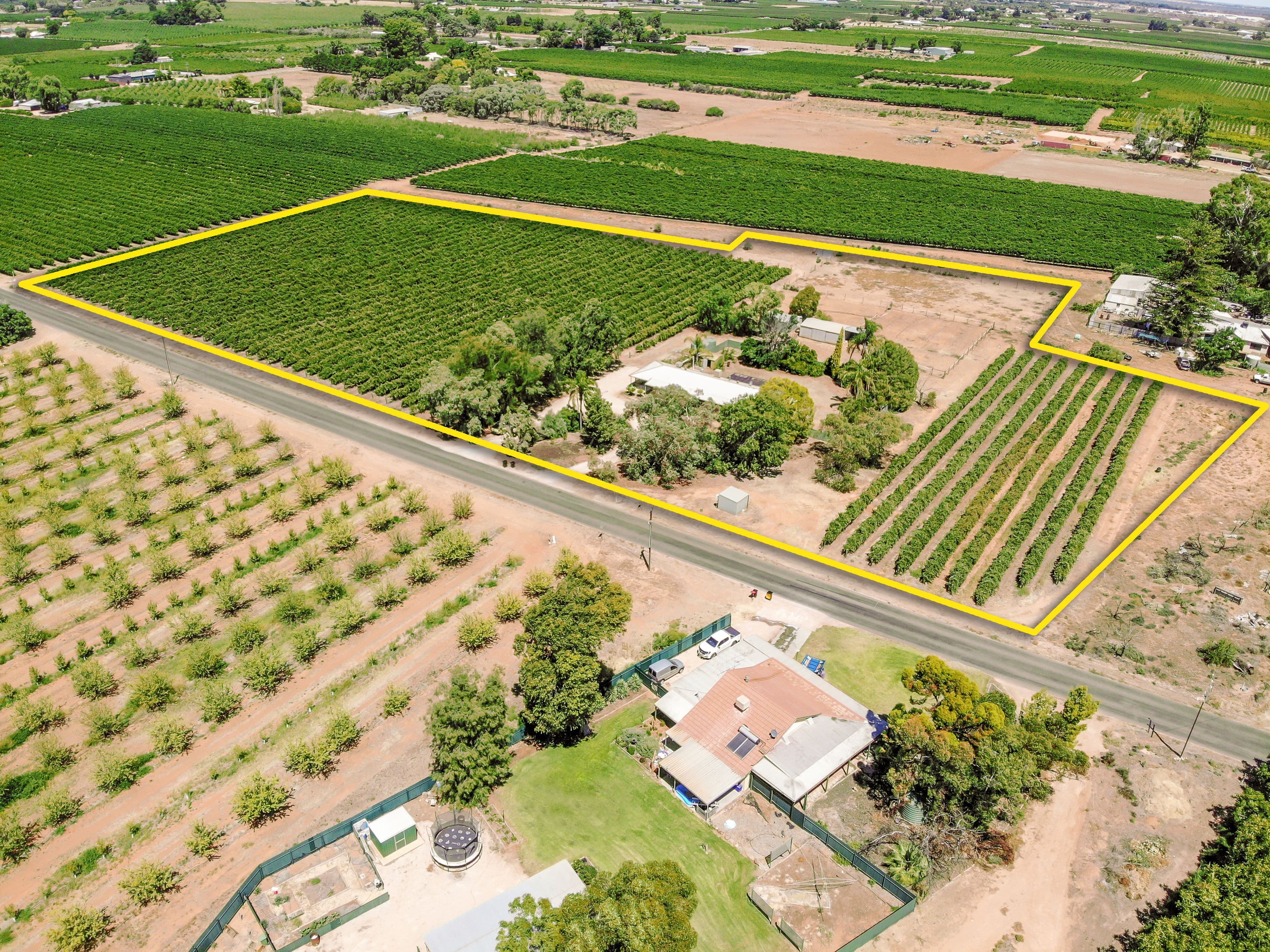 287 Cucumunga Street, Renmark SA 5341, Renmark West - Image 1