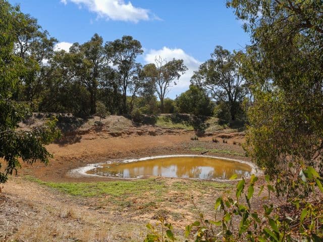 618 Maddern Road, Chittering WA 6084, Chittering - Thumbnail 6