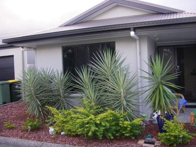 53B COLES Road, ANDERGROVE QLD 4740, Andergrove - Thumbnail 5
