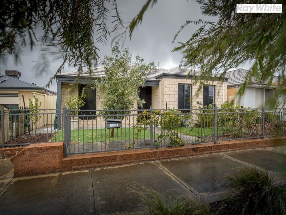 73 Cilantro Parkway, Seville Grove WA 6112, Seville Grove - Image 1