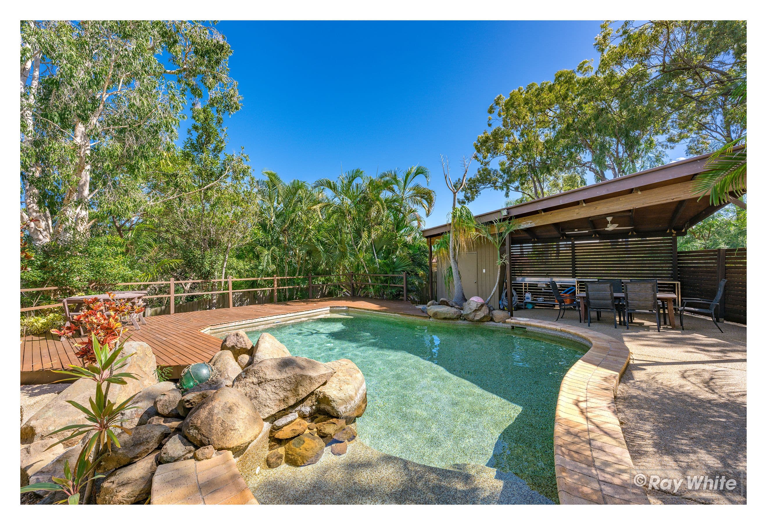 309 Thirkettle Avenue, Frenchville QLD 4701, Frenchville - Thumbnail 4