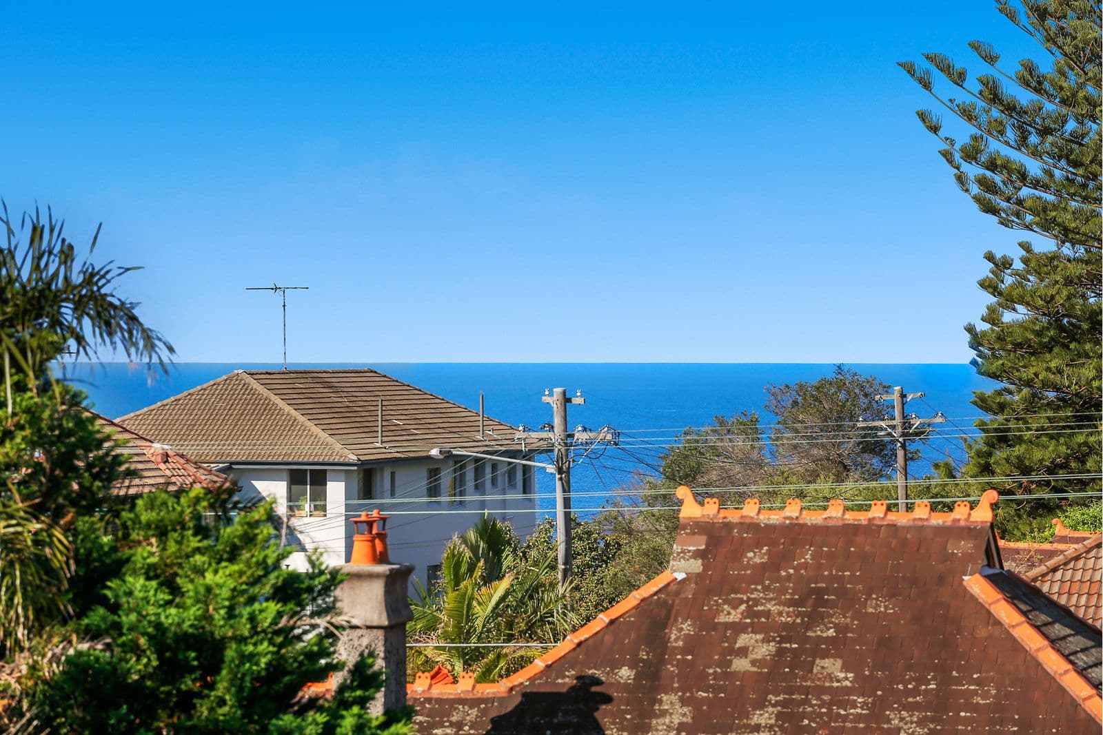 226 Oberon Street, Coogee NSW 2034, Coogee - Thumbnail 4