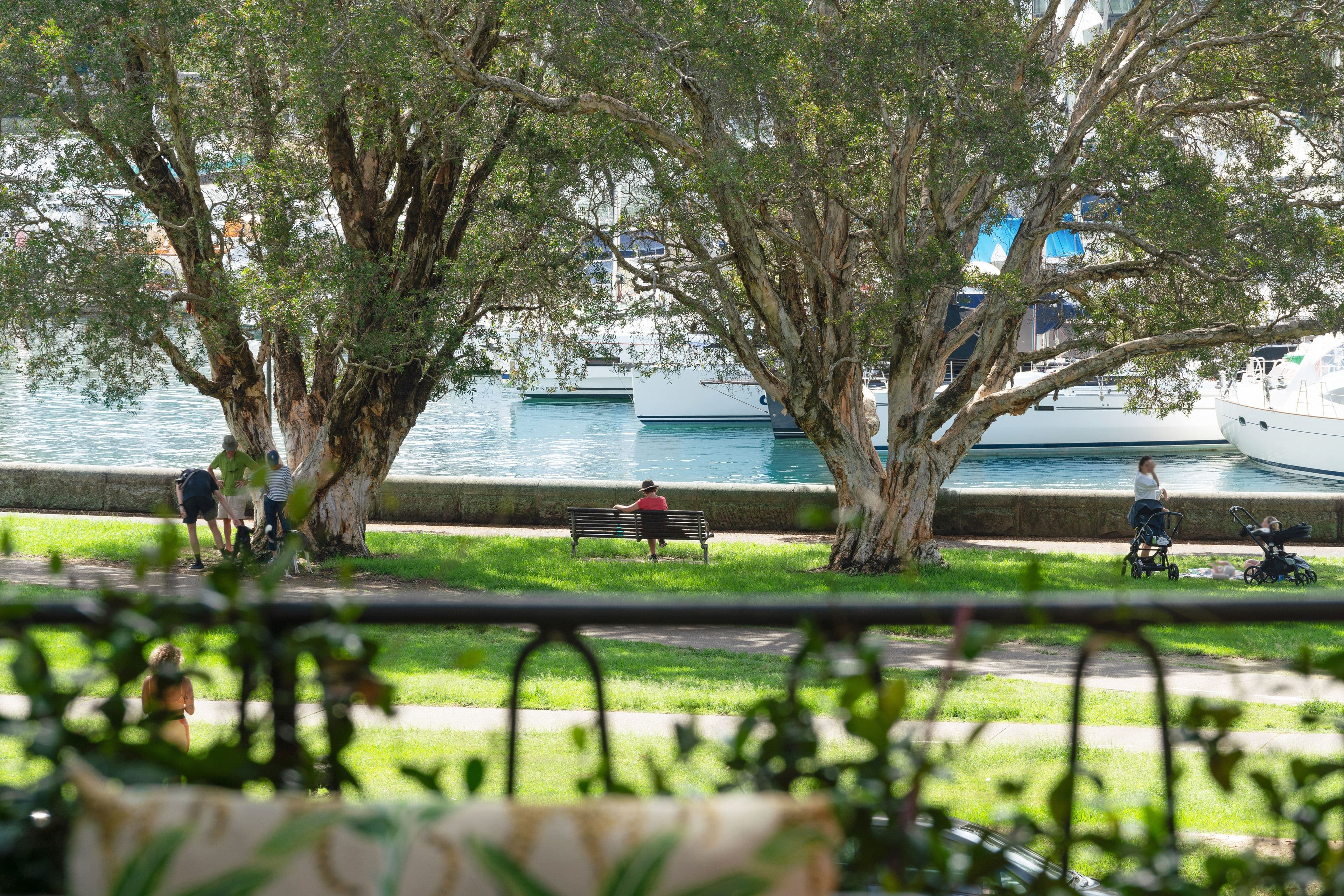 22 New Beach Road, Darling Point NSW 2027, Darling Point - Thumbnail 3