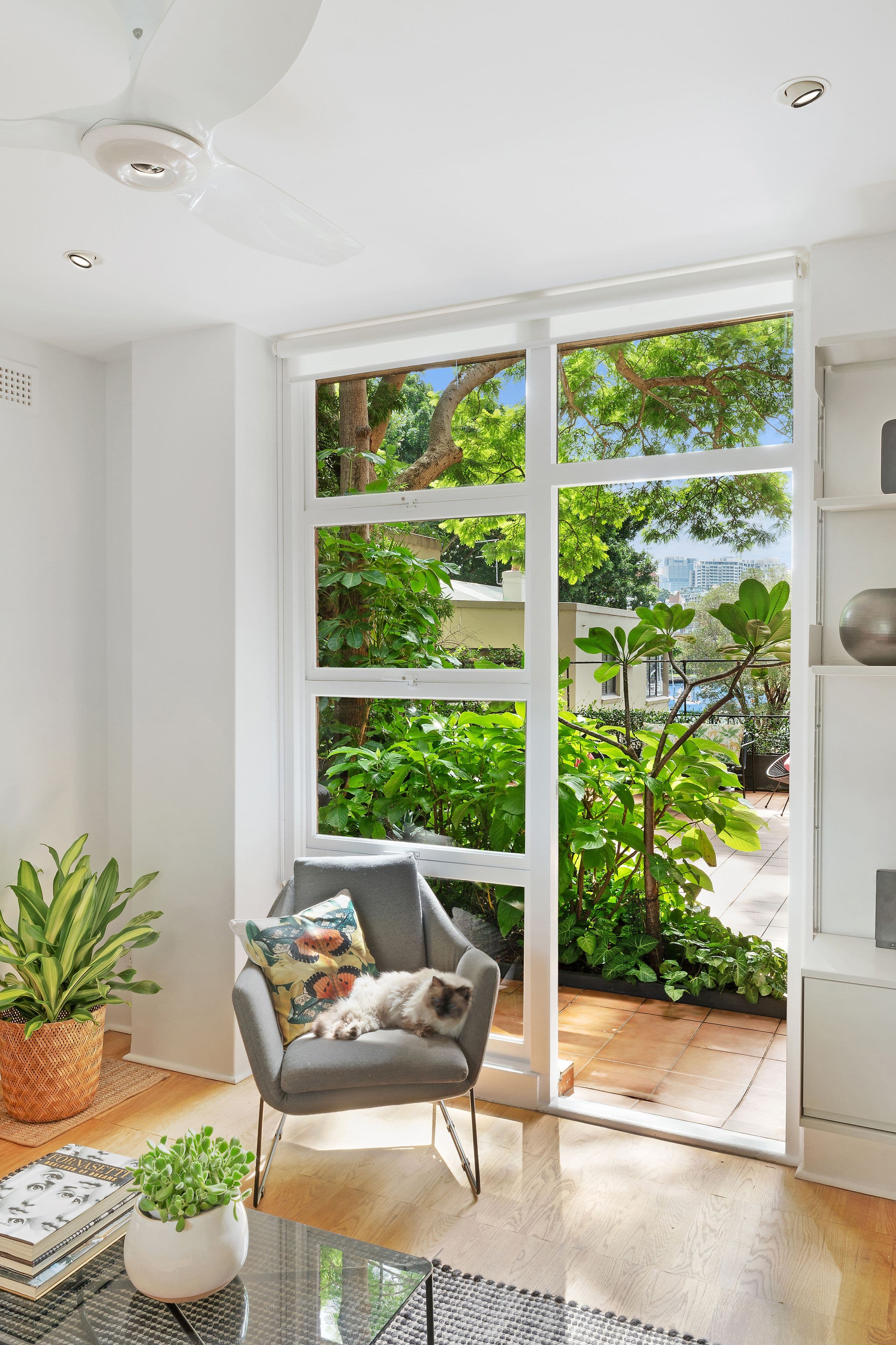 22 New Beach Road, Darling Point NSW 2027, Darling Point - Thumbnail 6