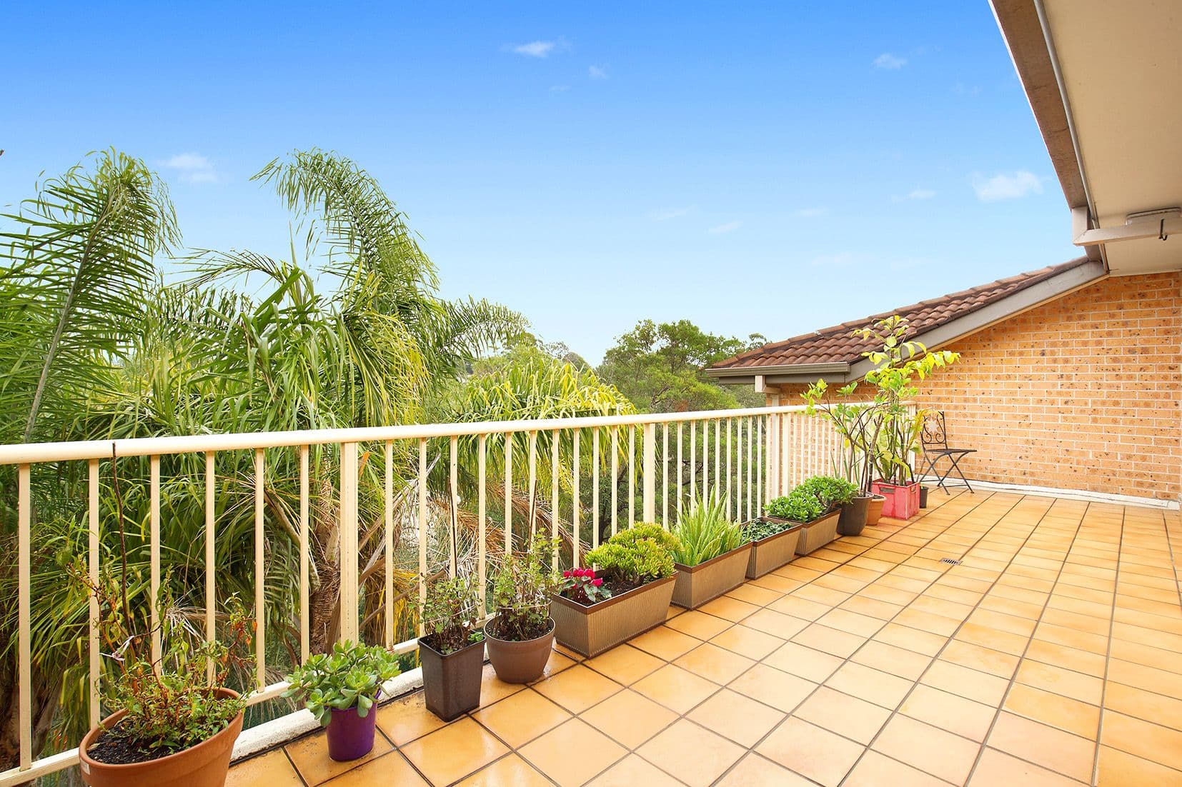 16 Broughton Road, Artarmon NSW 2064, Artarmon - Thumbnail 2