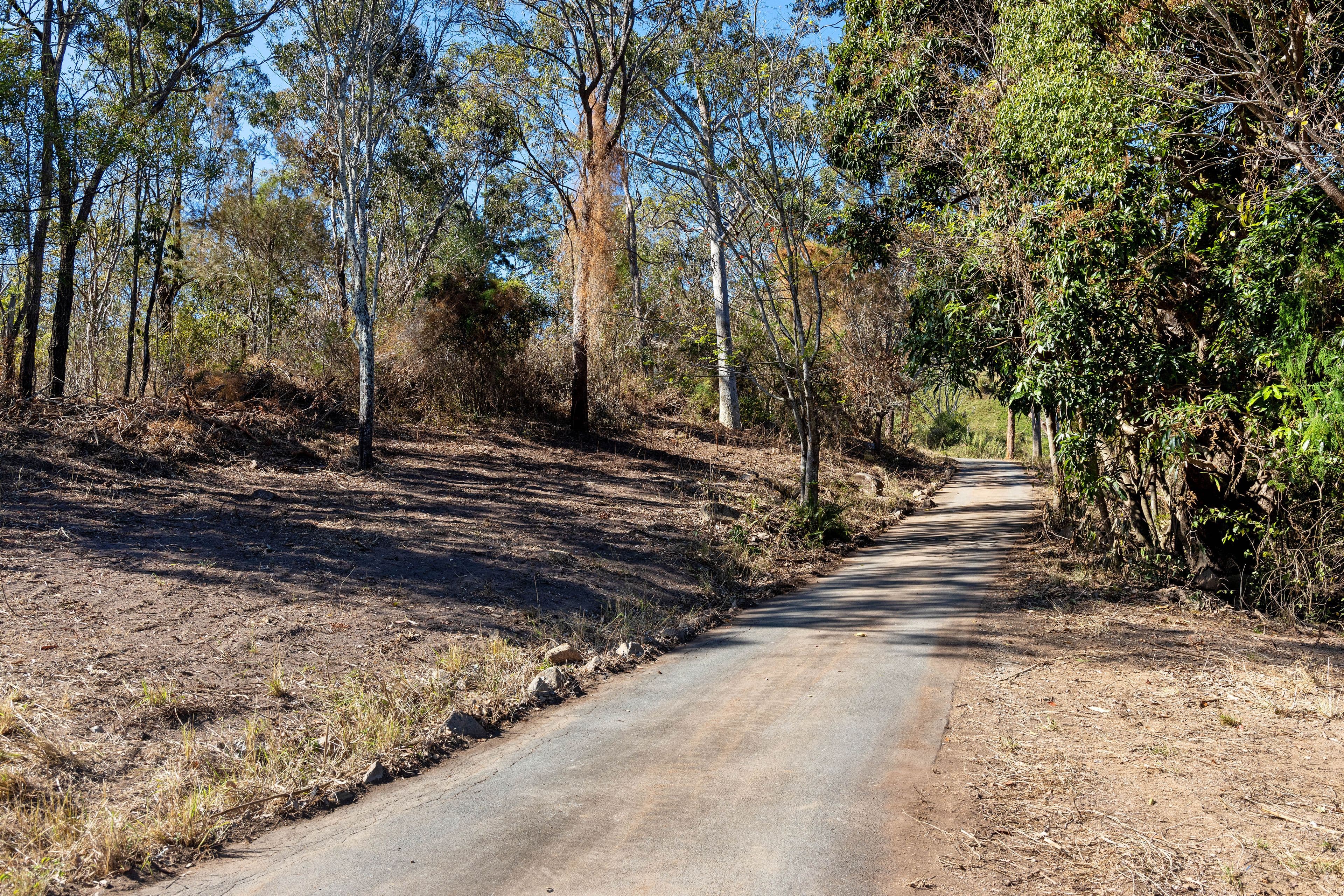 407 Settlement Road, Keperra QLD 4054, Keperra - Thumbnail 4