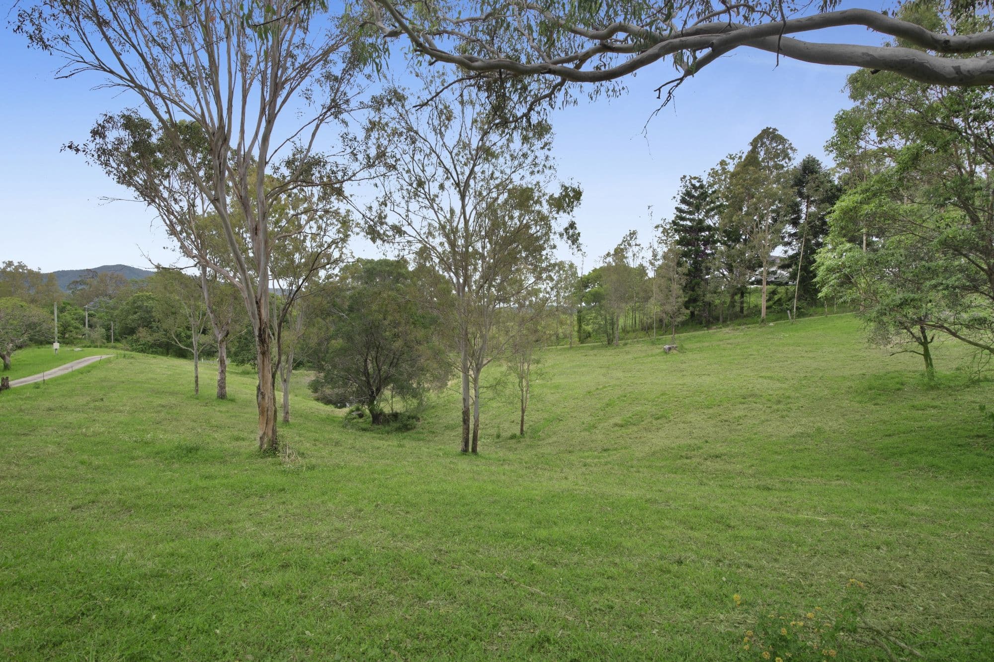 121 Oatlands Court, Wights Mountain QLD 4520, Wights Mountain - Thumbnail 2