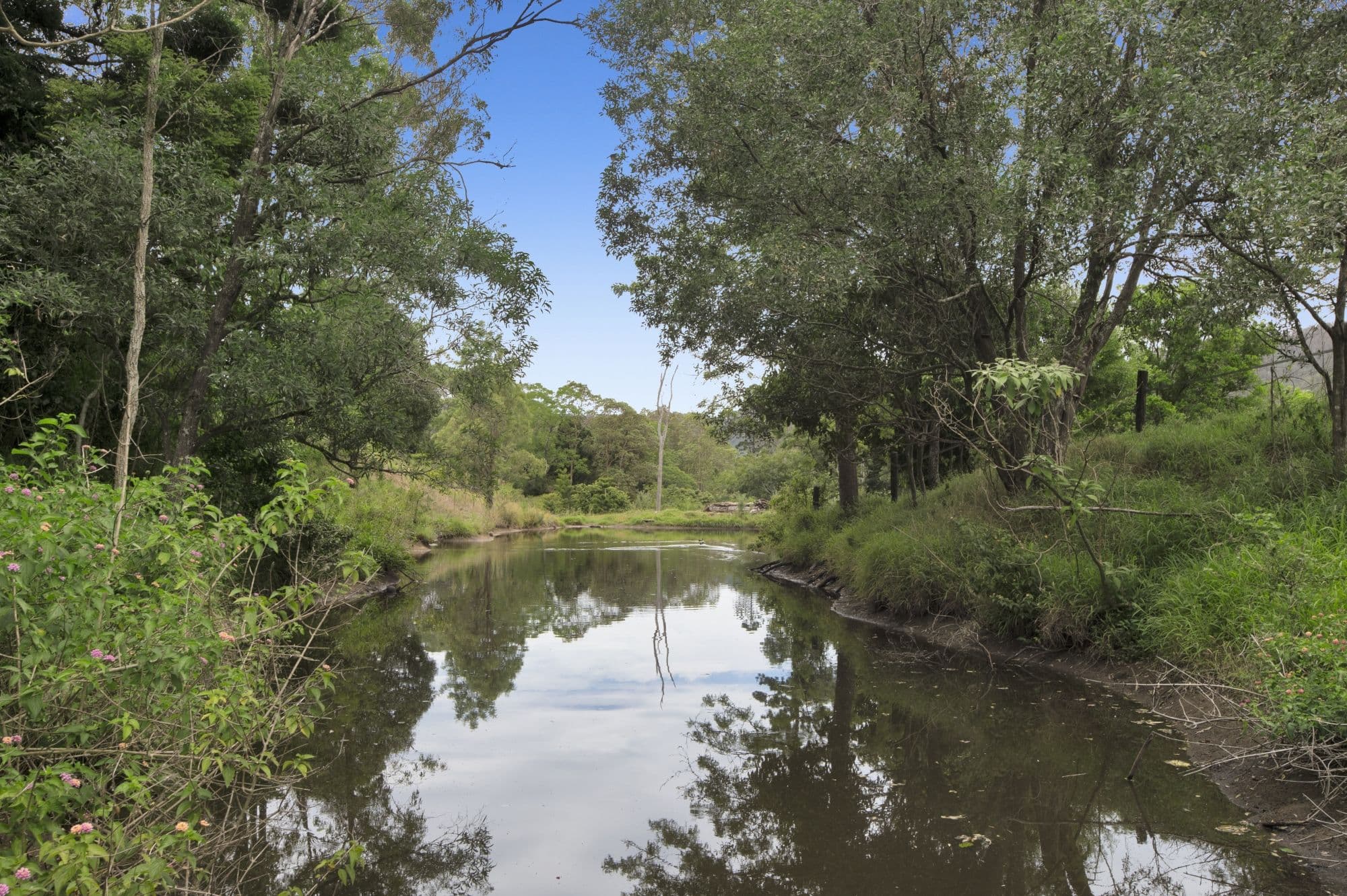 121 Oatlands Court, Wights Mountain QLD 4520, Wights Mountain - Thumbnail 3