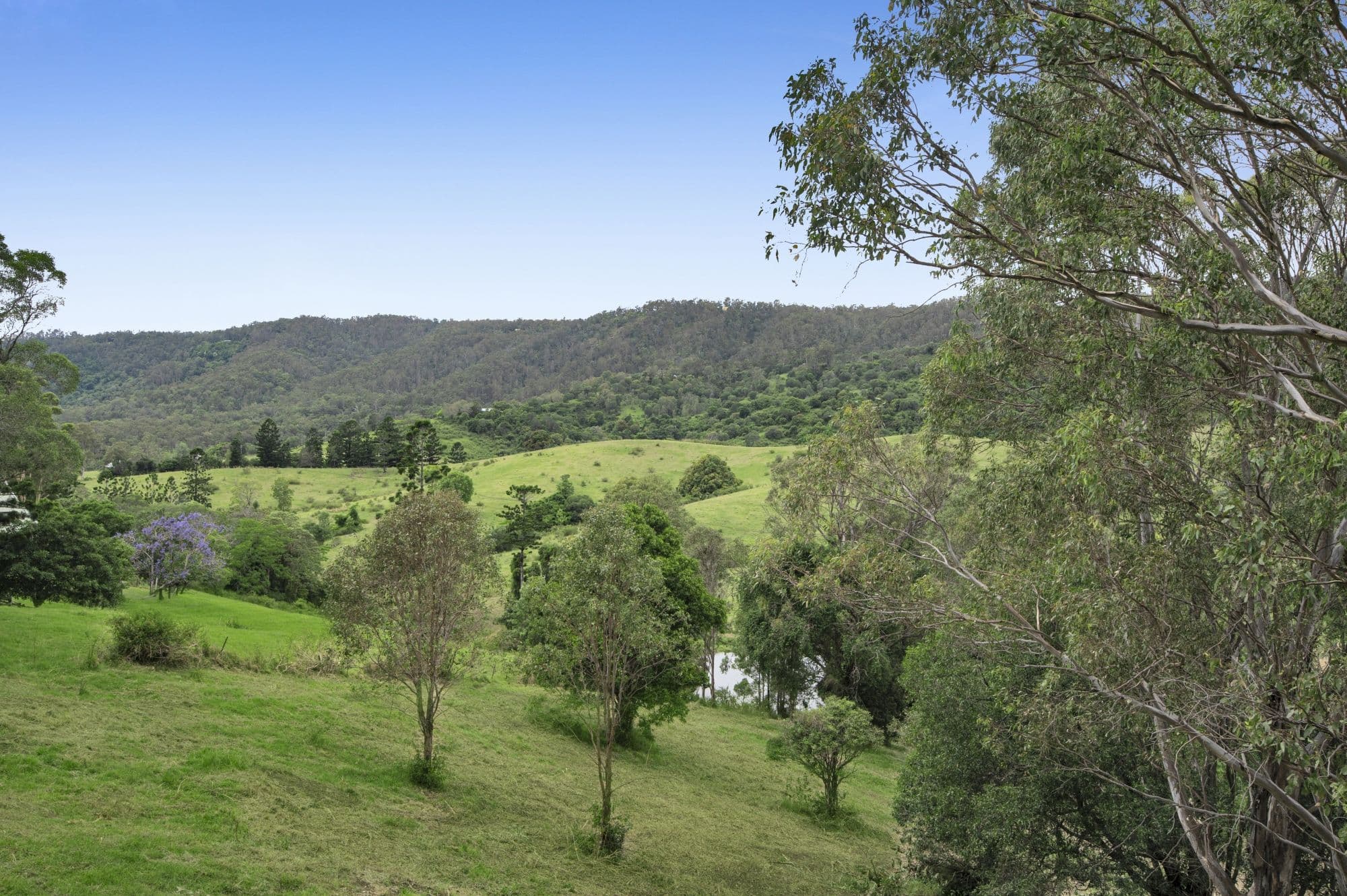 121 Oatlands Court, Wights Mountain QLD 4520, Wights Mountain - Thumbnail 6