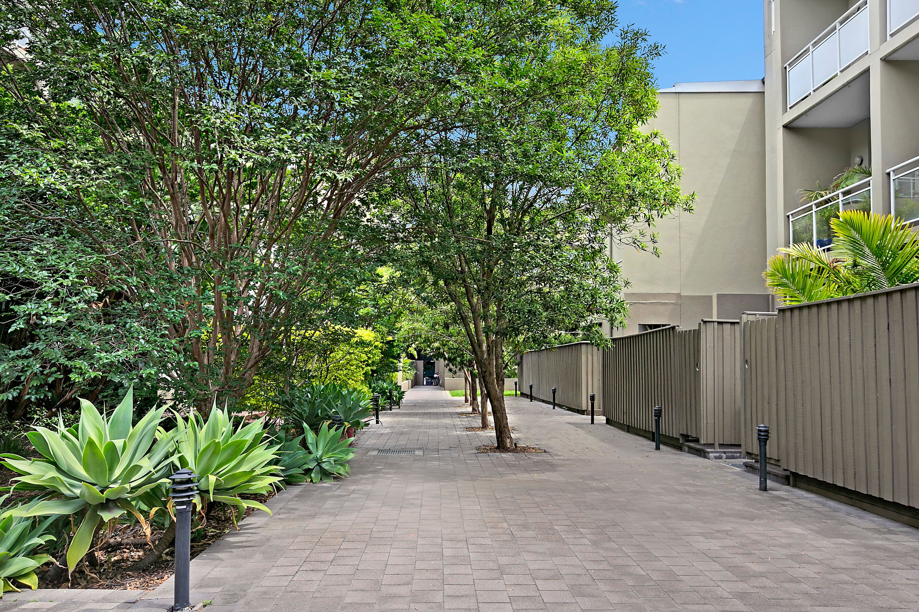 4 Gillespie Avenue, Alexandria NSW 2015, Alexandria - Thumbnail 6