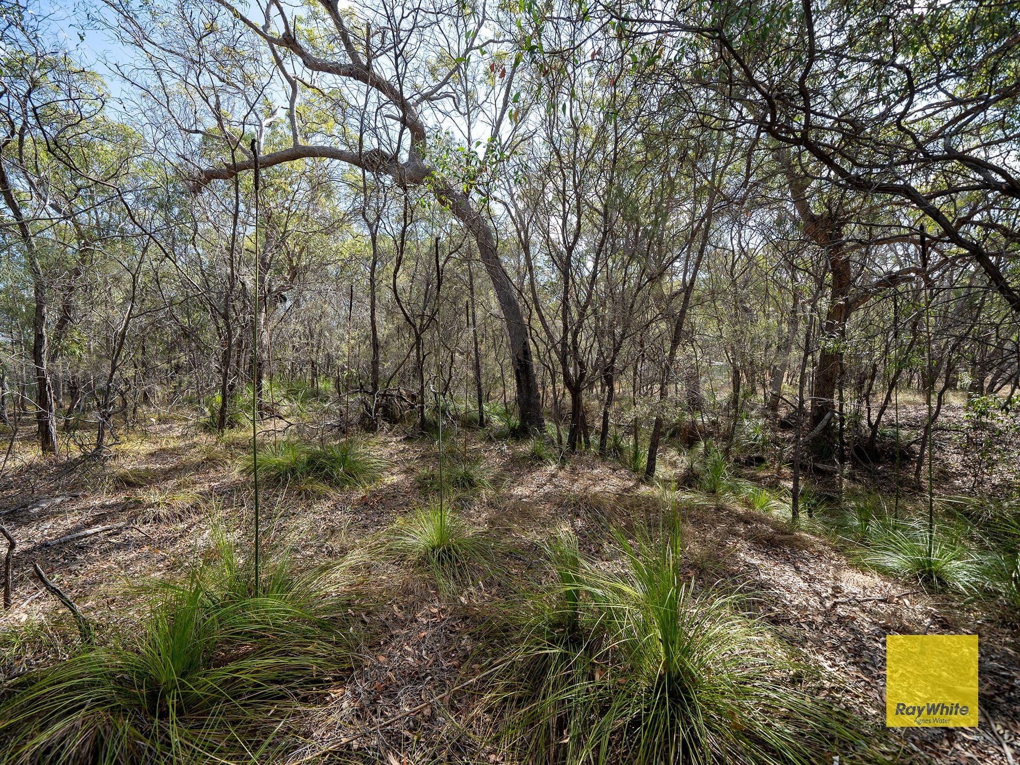 316 Anderson Way, Agnes Water QLD 4677, Agnes Water - Thumbnail 4