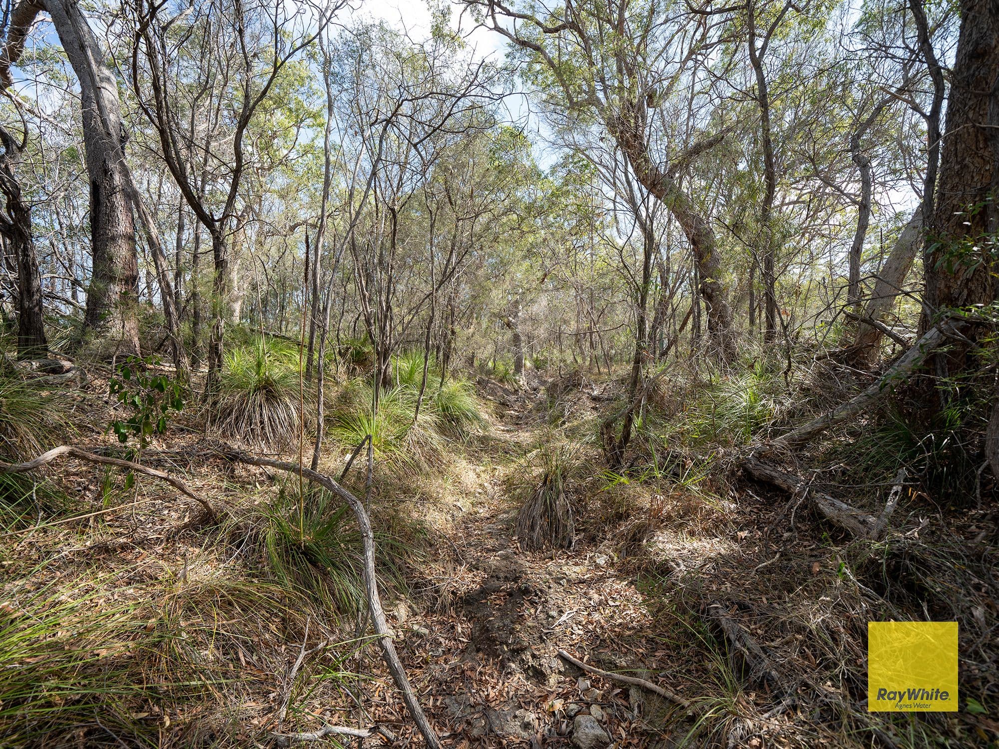 316 Anderson Way, Agnes Water QLD 4677, Agnes Water - Thumbnail 5