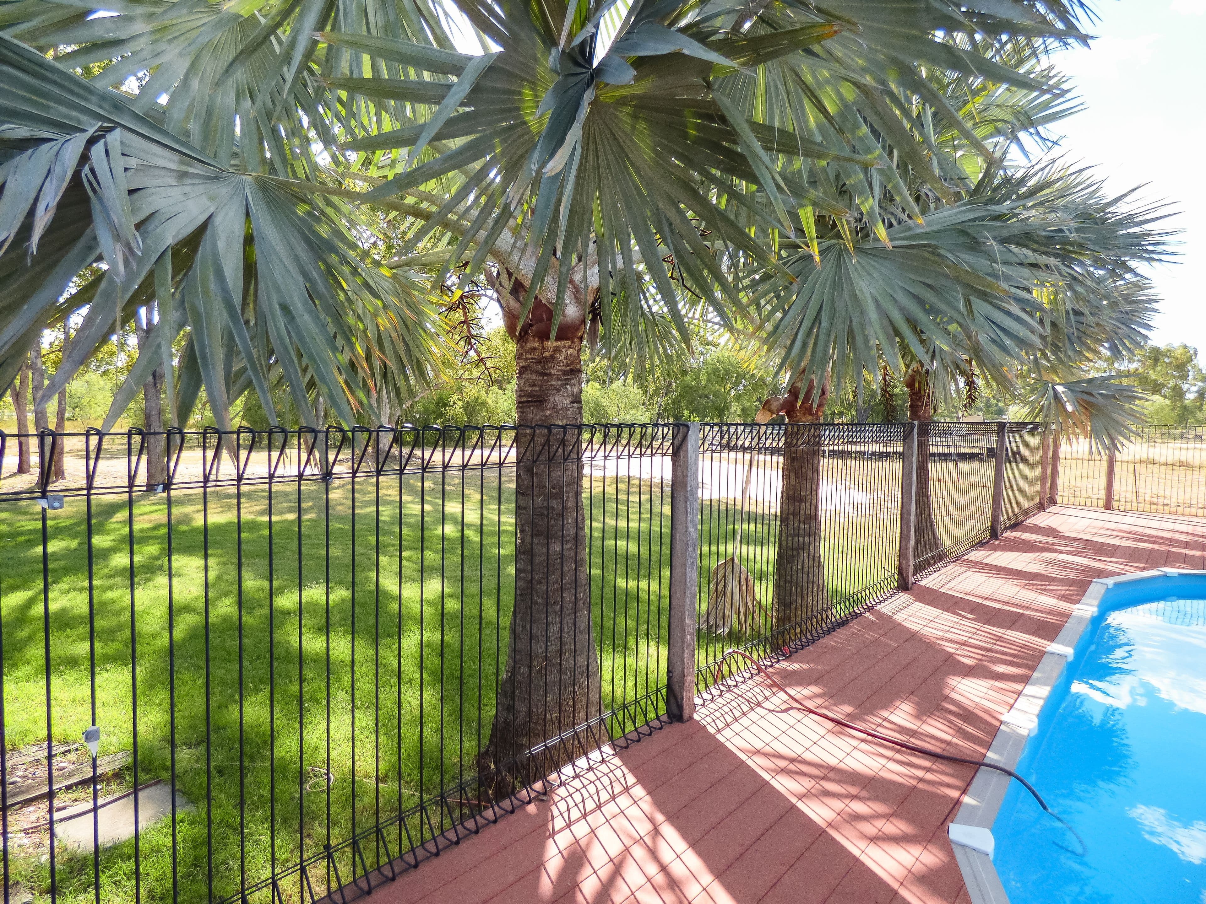 7 Felicity Court, Roma QLD 4455, Roma - Thumbnail 2
