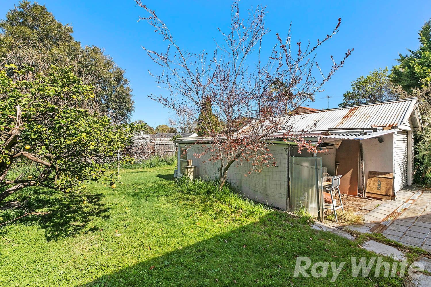14 Marquis Road, Bentleigh VIC 3204, Bentleigh - Thumbnail 6