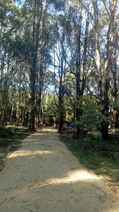 2211 Abercrombie Road, Oberon NSW 2787, Oberon - Thumbnail 3