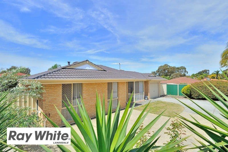 4B Cradle Close, Alexander Heights WA 6064, Alexander Heights - Thumbnail 4