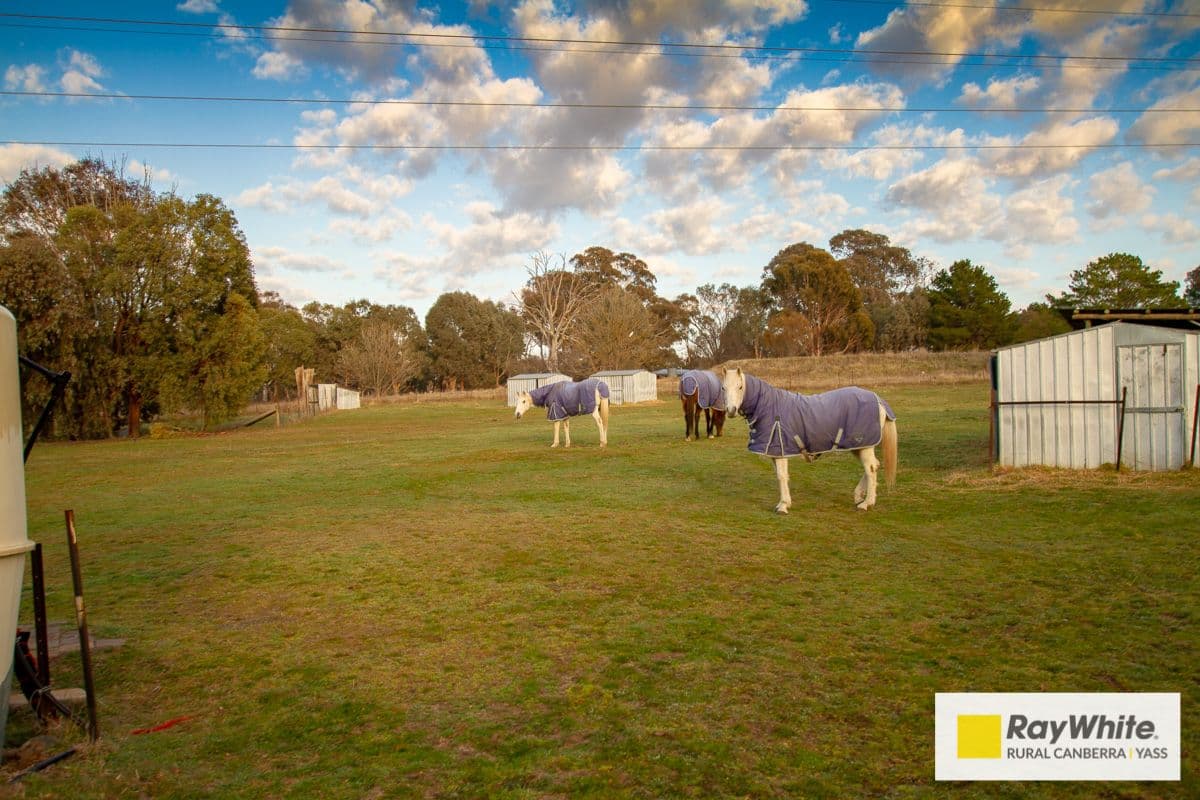24 Nirta Drive, Murrumbateman - Thumbnail 2
