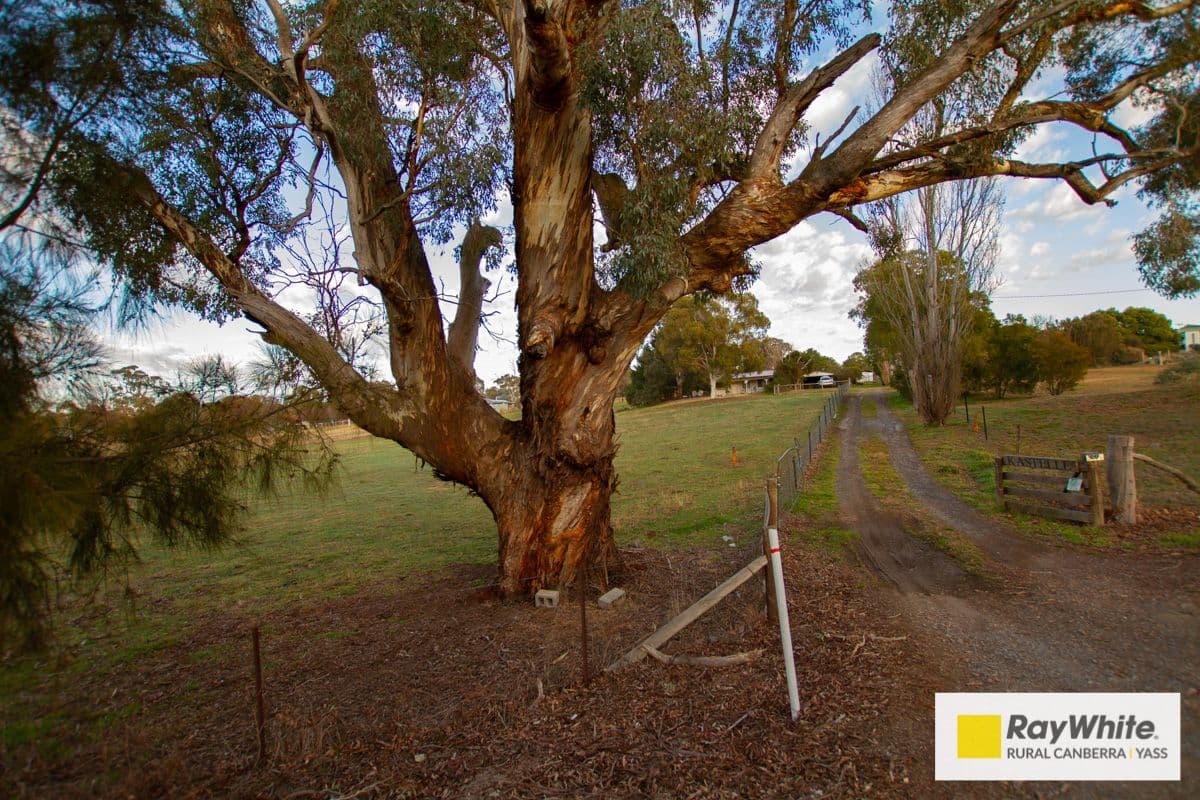24 Nirta Drive, Murrumbateman - Thumbnail 4