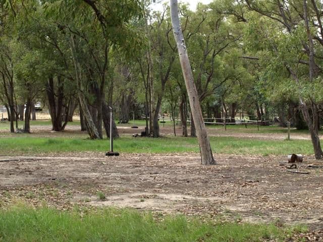 16 Dale Place, ORANGE GROVE WA 6109, Orange Grove - Thumbnail 7