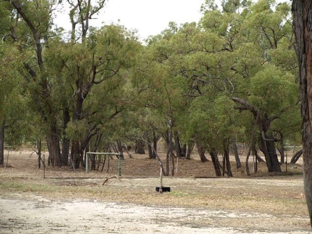 16 Dale Place, ORANGE GROVE WA 6109, Orange Grove - Thumbnail 8