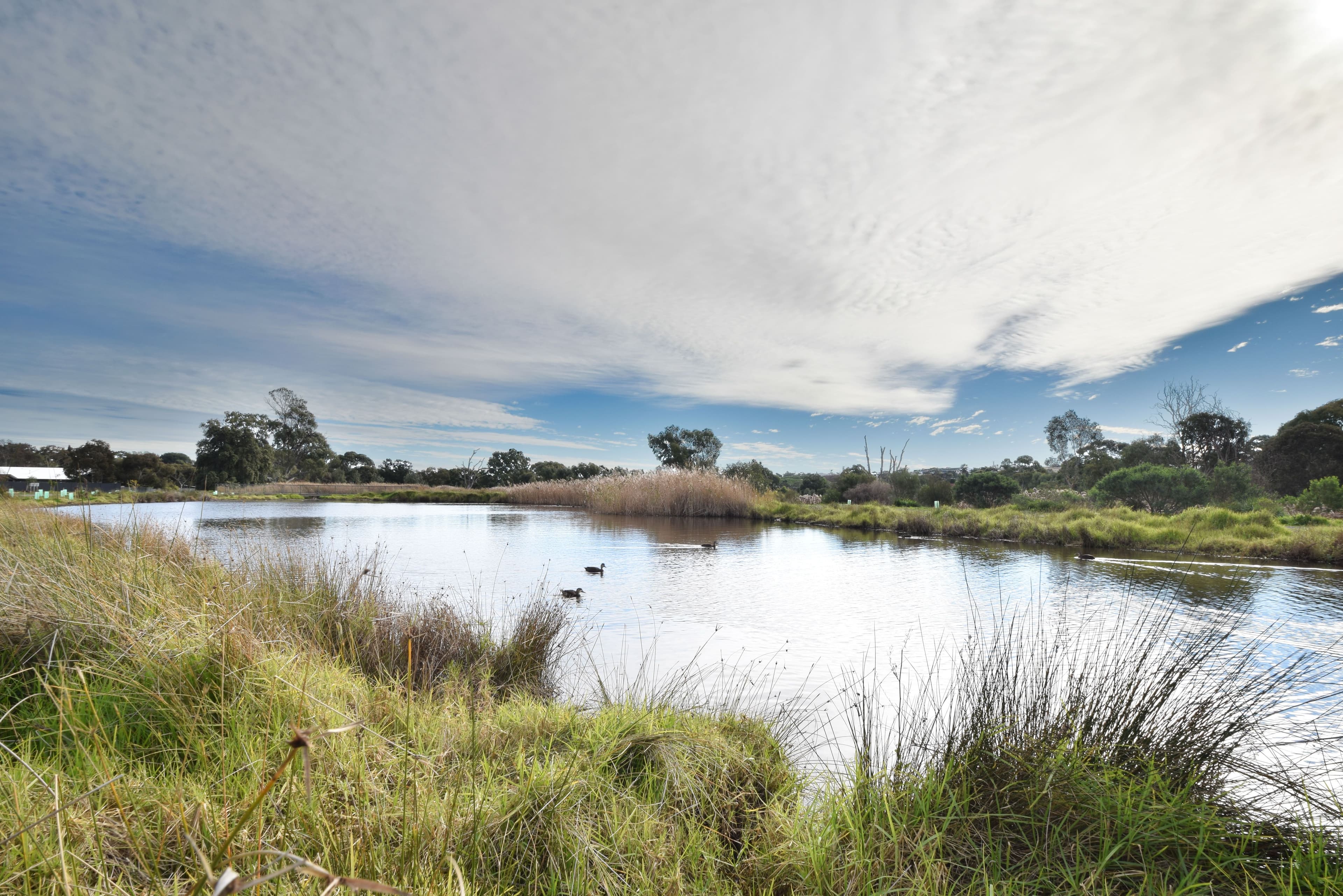 11 & 13 Jennifer Drive, Morphett Vale SA 5162, Morphett Vale - Thumbnail 8