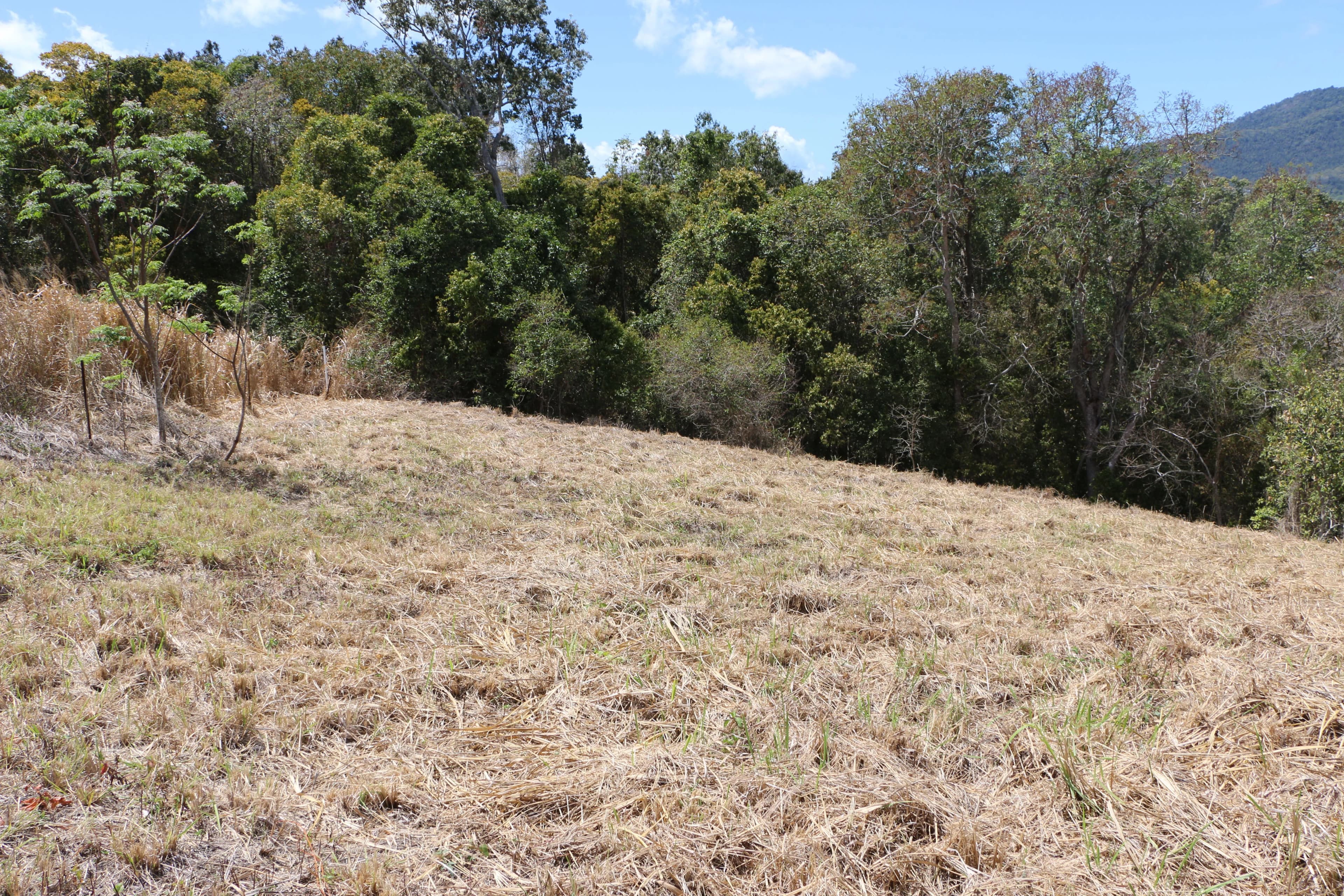 41 Cimmaron Way, Kialla, Kialla - Thumbnail 3