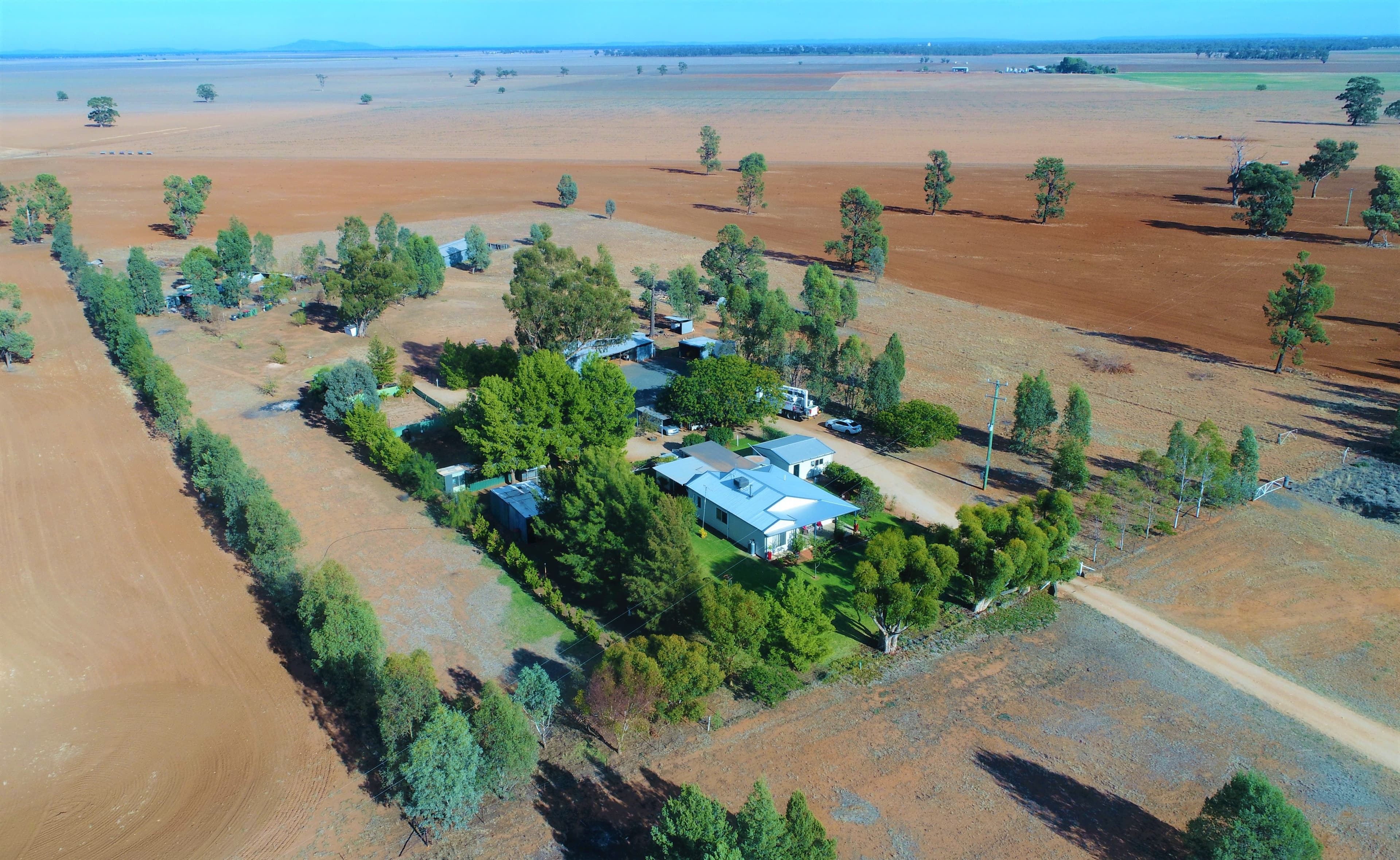 339 New Grenfell Road, Forbes - Image 1
