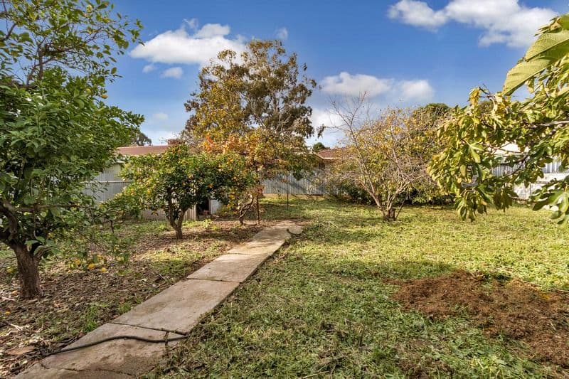 18 Portrush Road, Payneham SA 5070, Payneham - Thumbnail 3