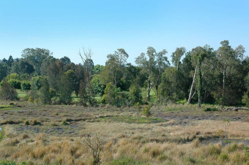 CARRARA QLD 4211, Carrara - Thumbnail 8