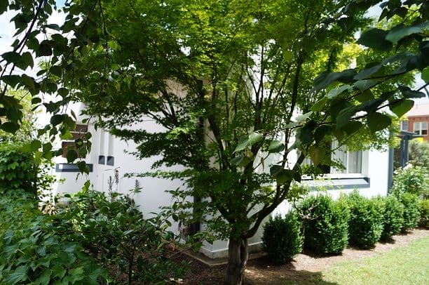 111 Lords Place, Orange NSW 2800, Orange - Thumbnail 2