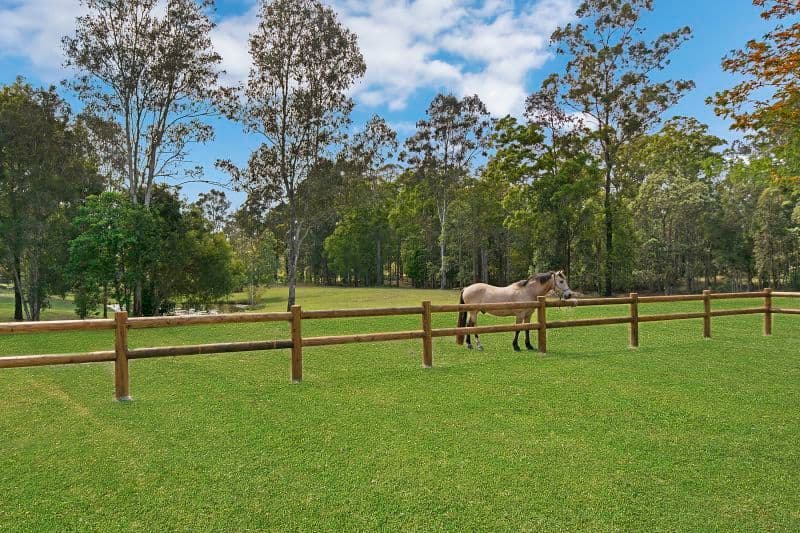 12 Tunnel Ridge Road, Landsborough QLD 4550, Landsborough - Thumbnail 6