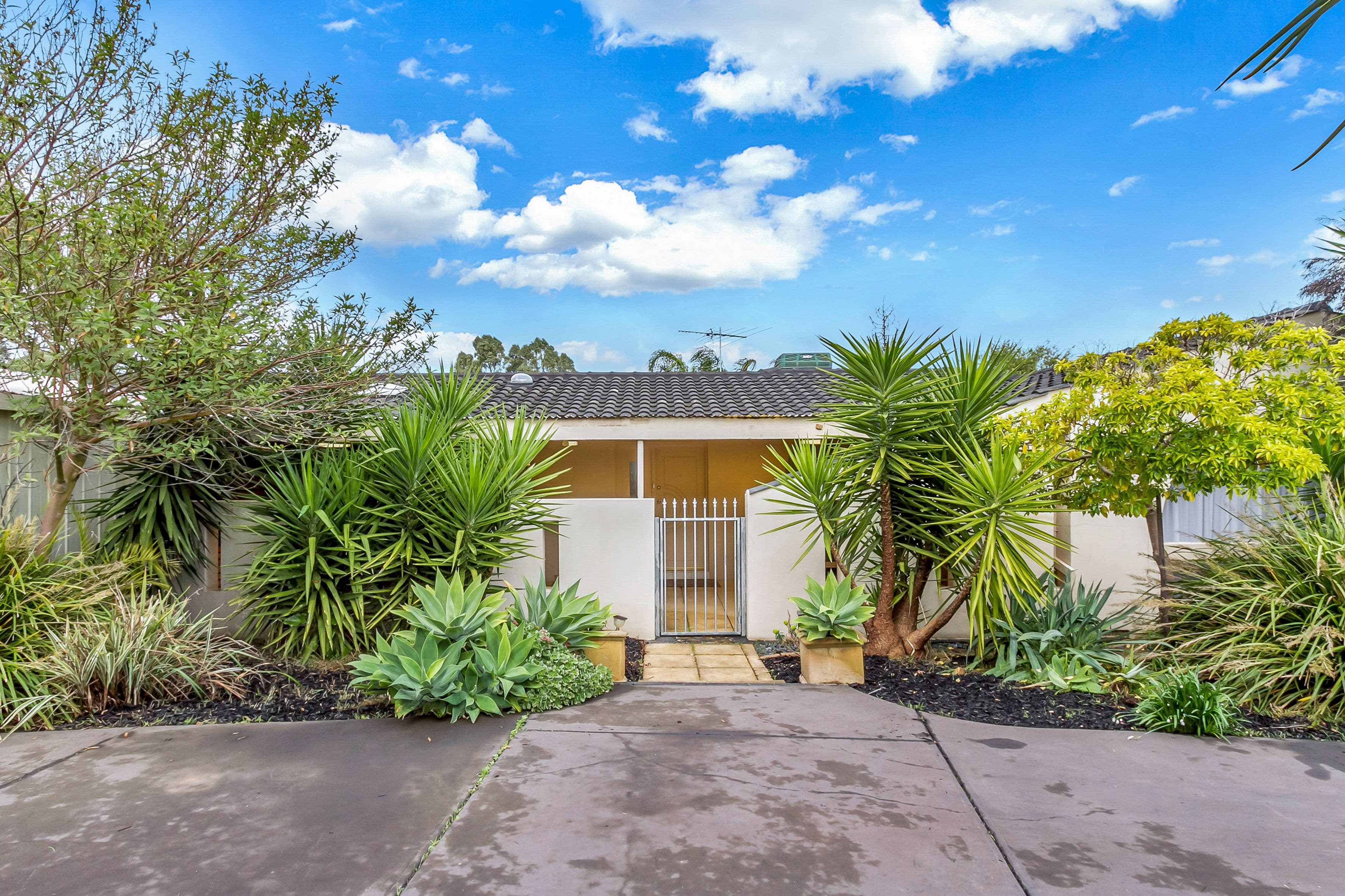 11 Birman Crescent, Flagstaff Hill SA 5159, Flagstaff Hill - Thumbnail 4