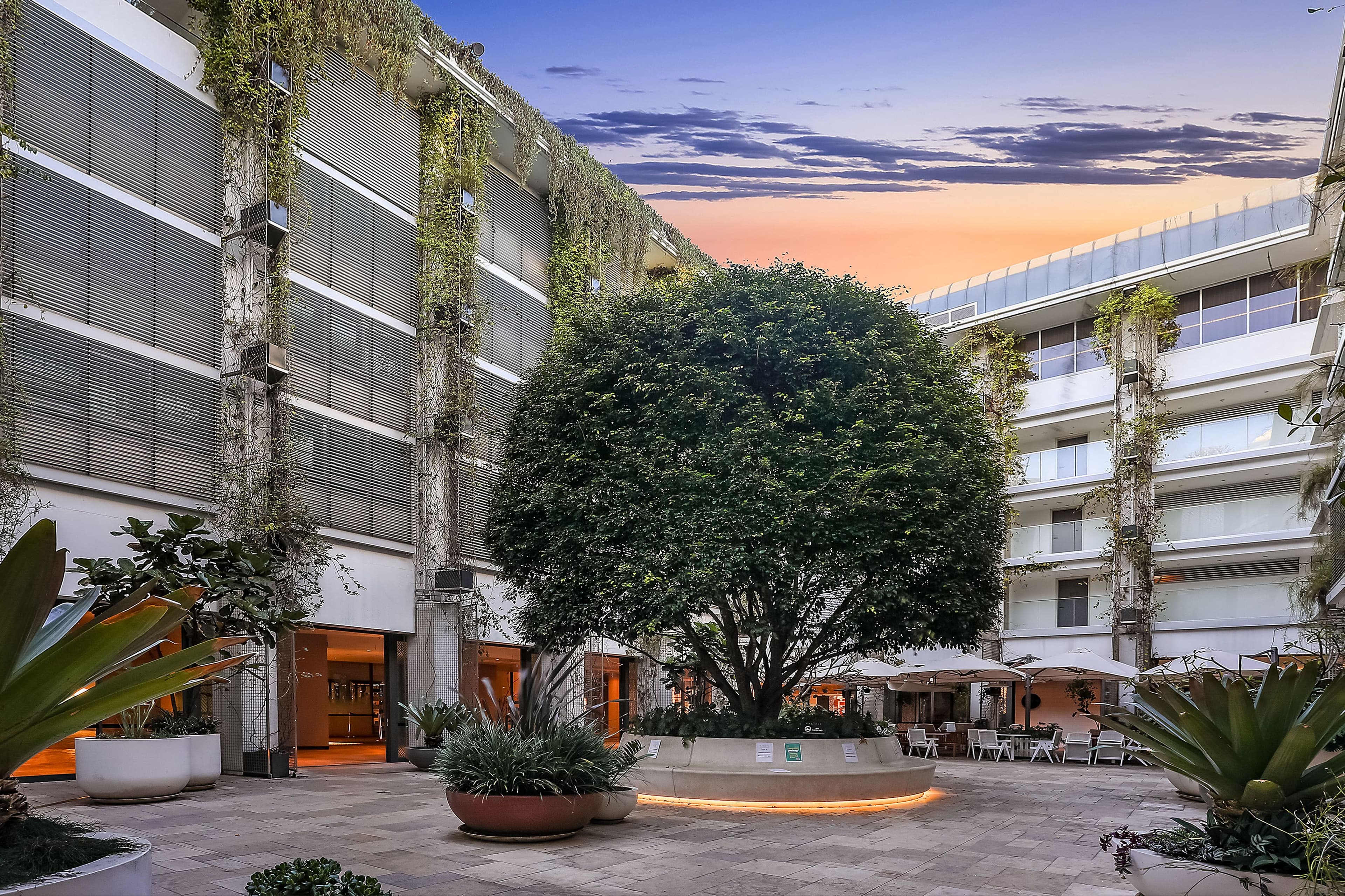180 Campbell Parade, Bondi Beach NSW 2026, Bondi Beach - Thumbnail 2