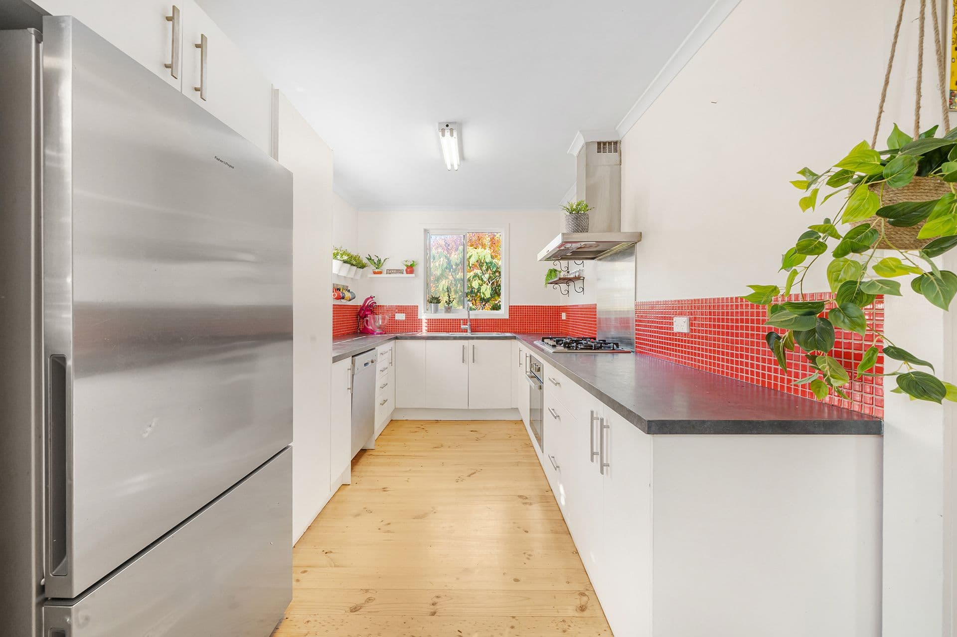 3 Collins Street, Queanbeyan NSW 2620, Queanbeyan - Thumbnail 2