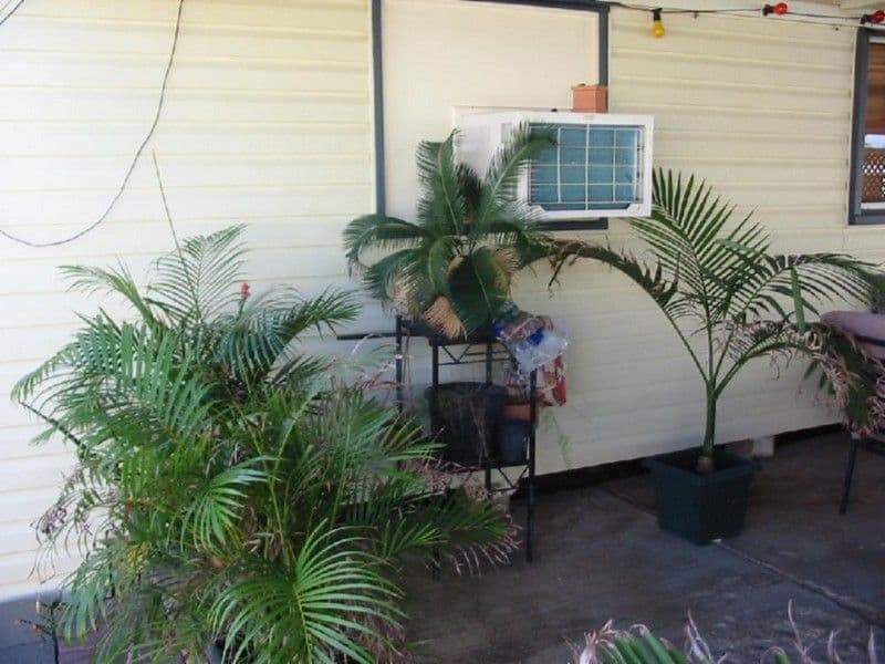 4 Goldring, HUGHENDEN QLD 4821, Hughenden - Thumbnail 4