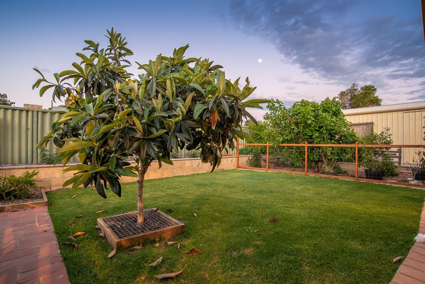 17 Corry Street, East Cannington WA 6107, East Cannington - Thumbnail 4