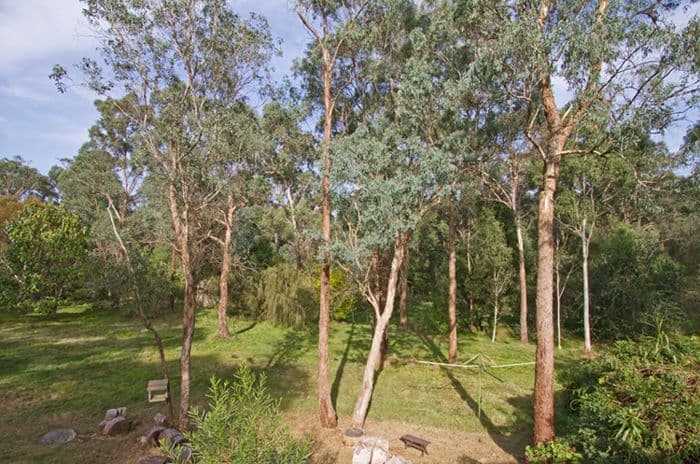 1 Wild Cherry Drive, ELTHAM VIC 3095, Eltham - Thumbnail 7