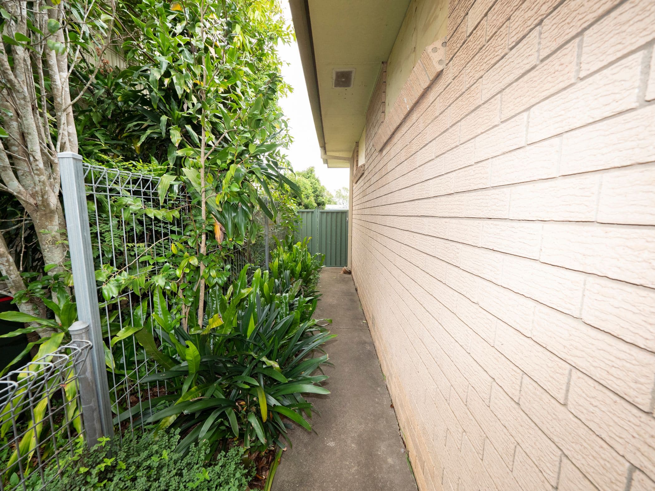 255 High Street, Lismore Heights NSW 2480, Lismore Heights - Thumbnail 7
