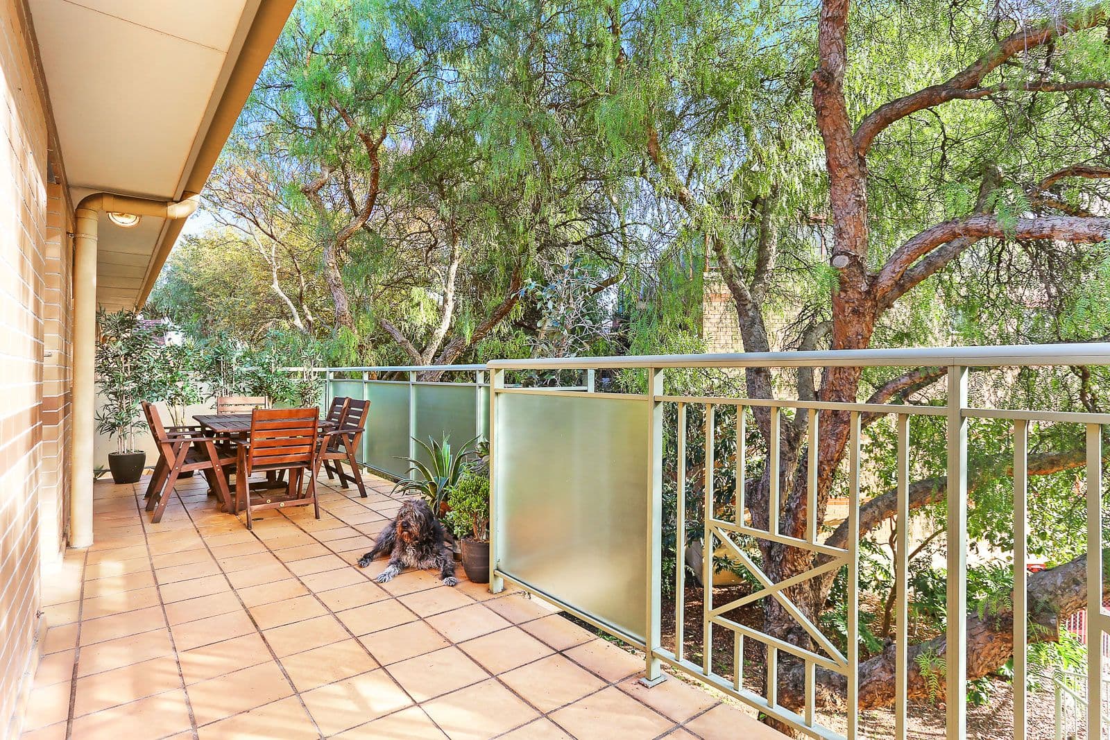 20 Morgan Street, Botany NSW 2019, Botany - Thumbnail 6