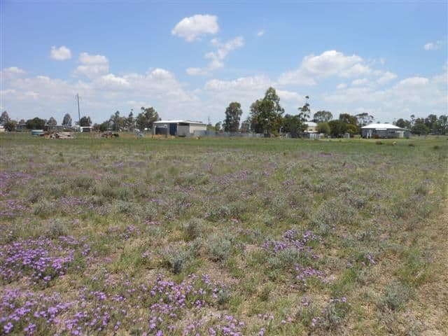 26 Baron Street, JONDARYAN QLD 4403, Jondaryan - Thumbnail 2