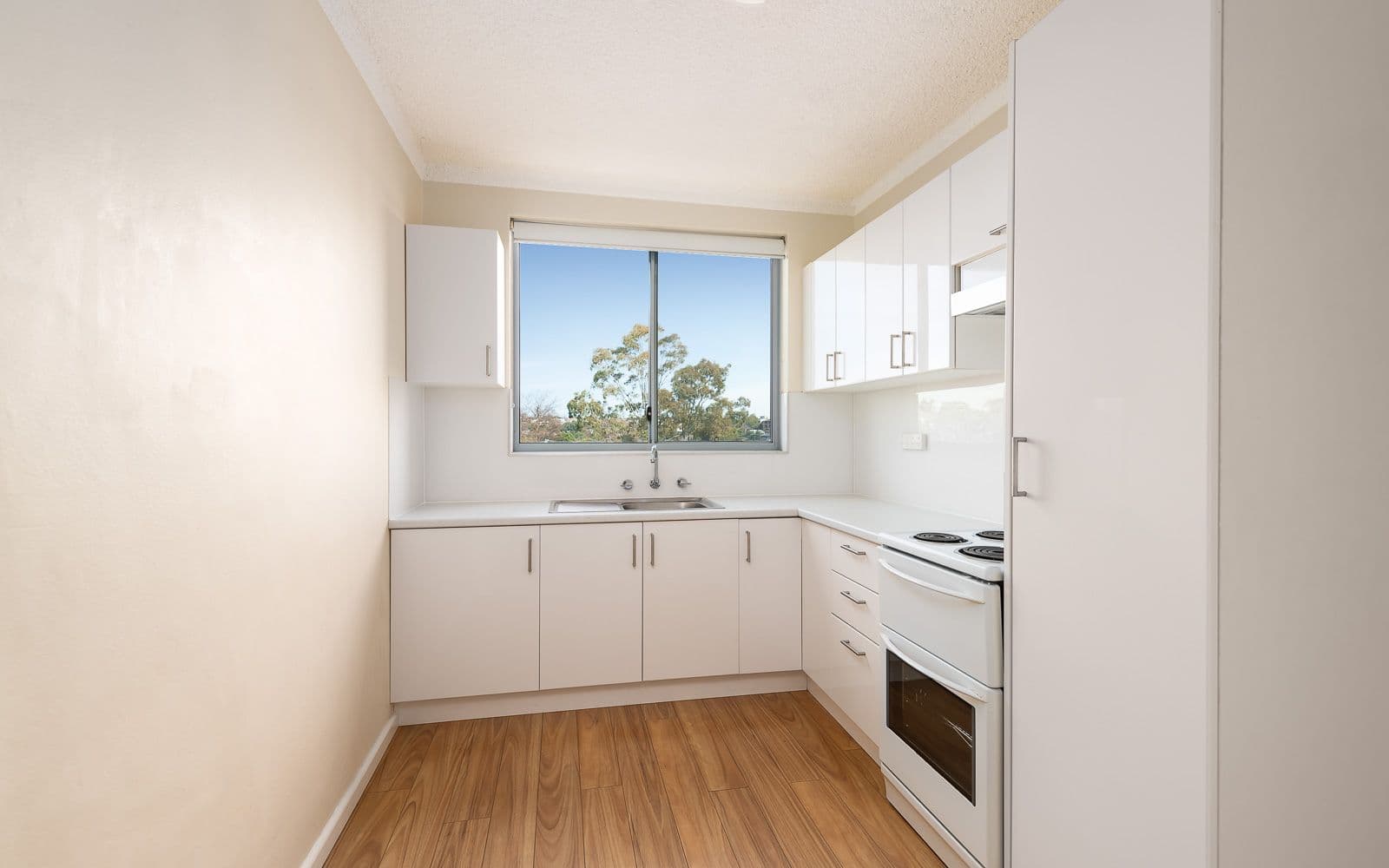 10 View Street, Marrickville NSW 2204, Marrickville - Thumbnail 3