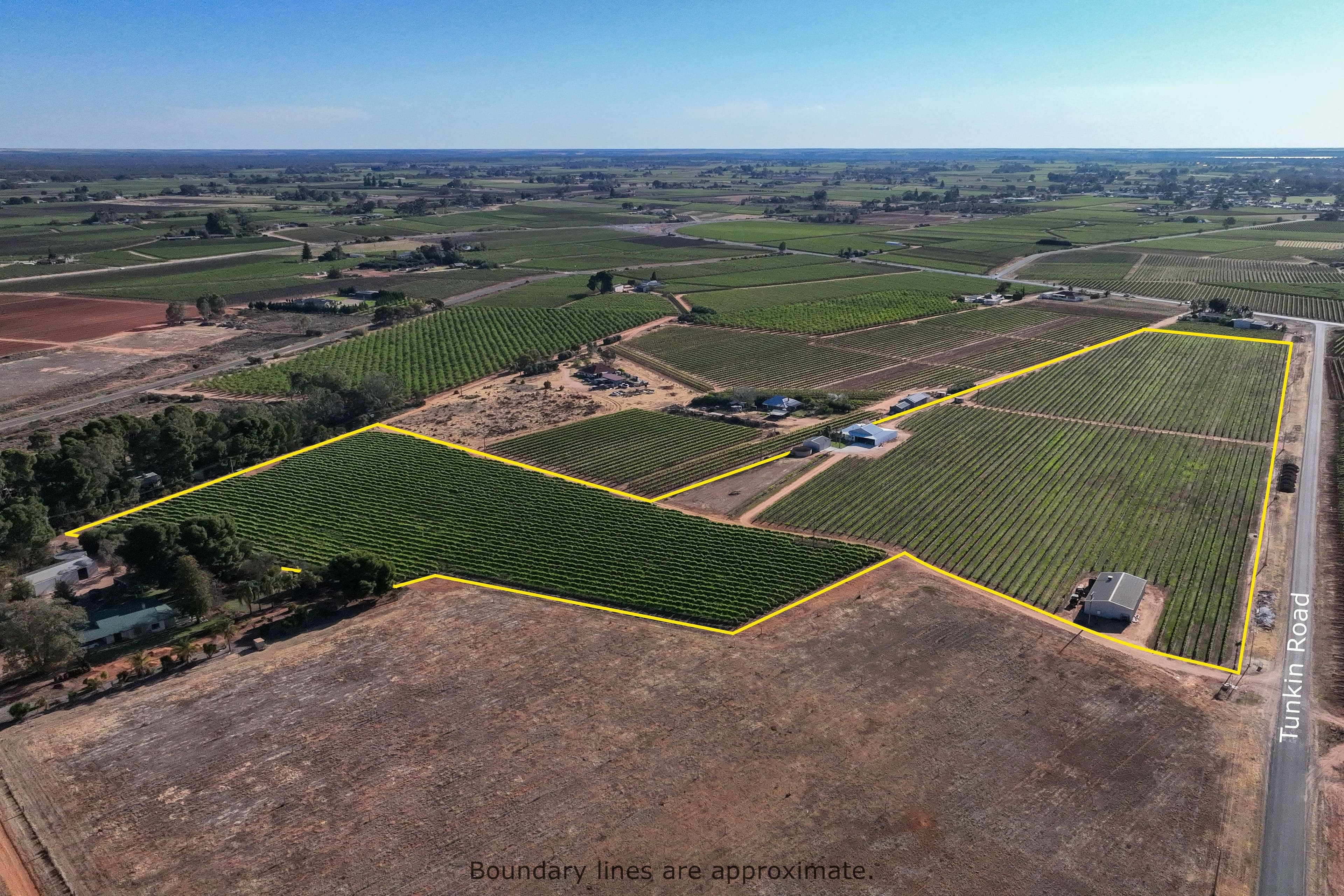 62 Tunkin Road, Barmera SA 5345, Barmera - Image 1