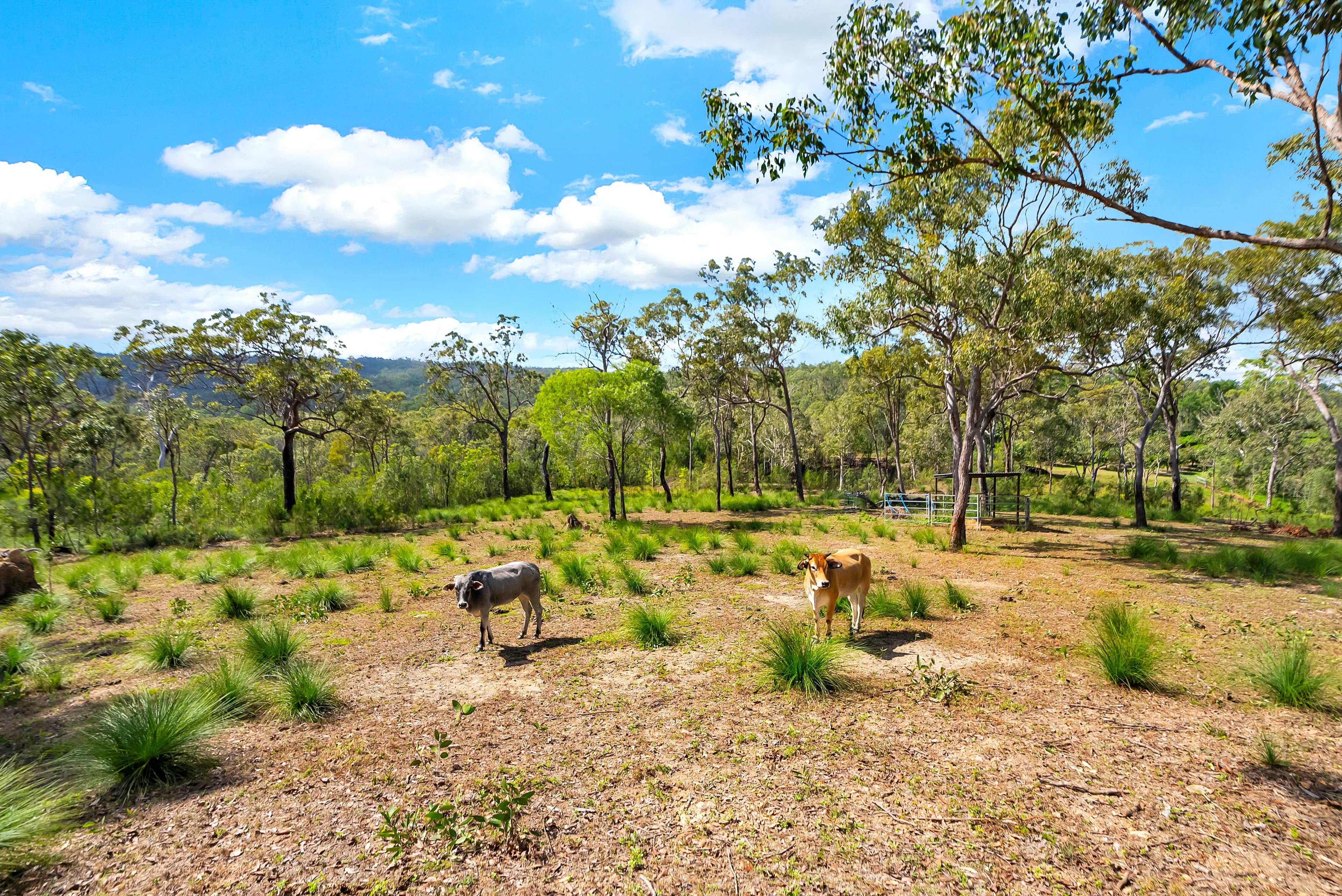 2641 Kennedy Highway, Koah QLD 4881, Koah - Thumbnail 6