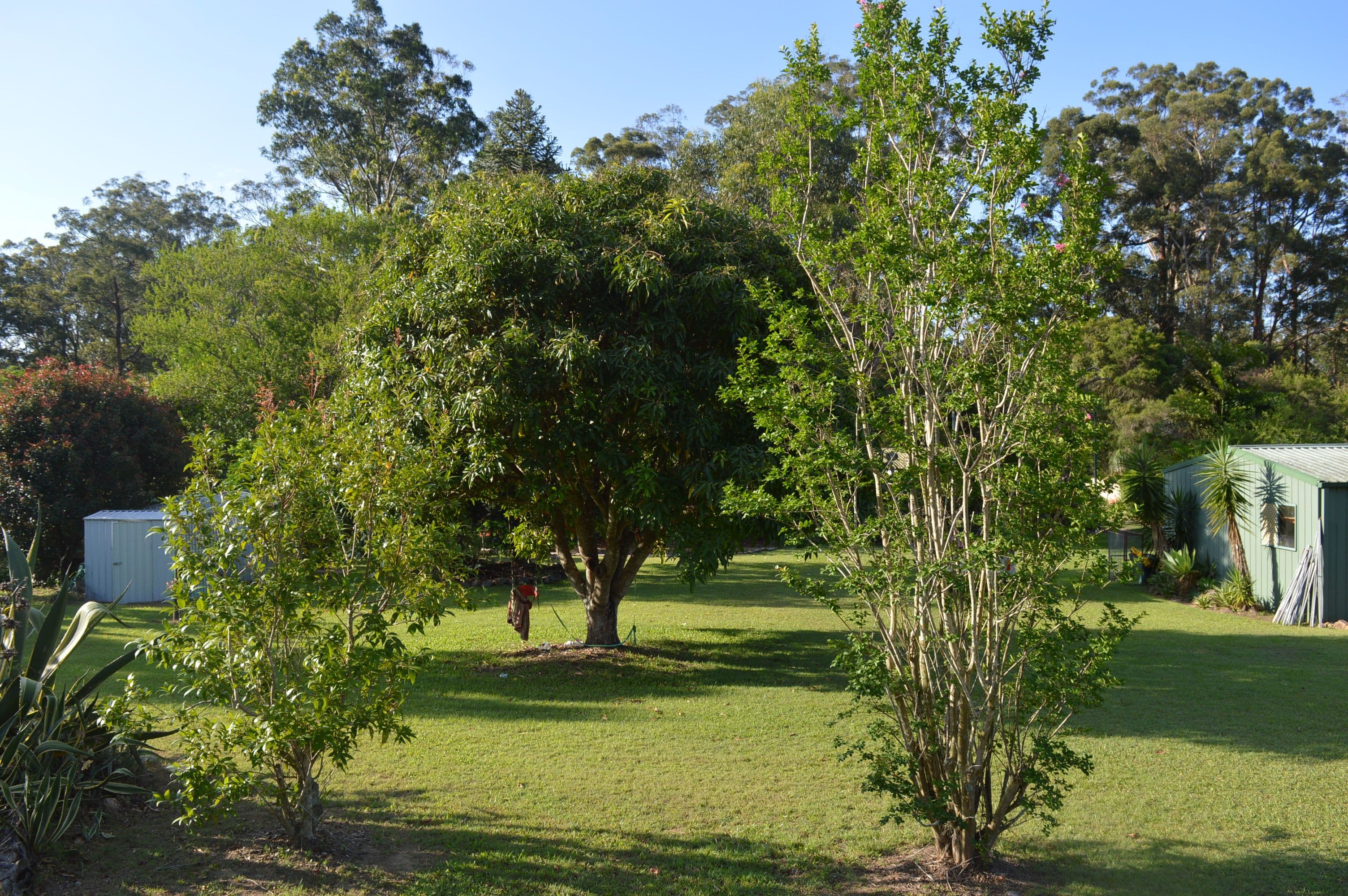 2698 Old Gympie Road, Beerwah QLD 4519, Beerwah - Thumbnail 4