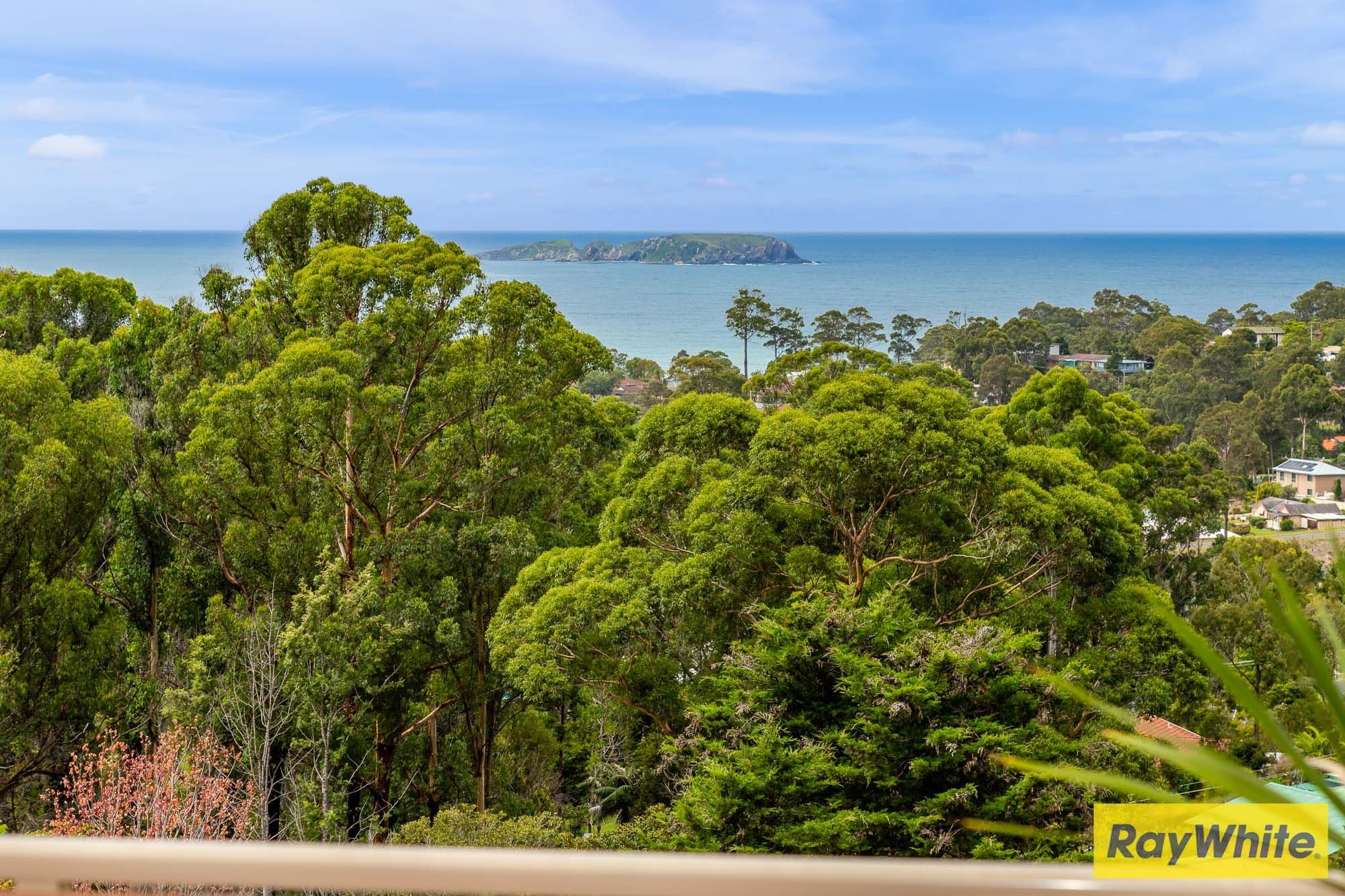 6 Figtree Close, Surf Beach NSW 2536, Surf Beach - Thumbnail 2