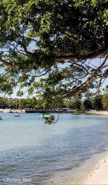 Residence 1, 8 Norwich Road, Rose Bay NSW 2029, Rose Bay - Thumbnail 8