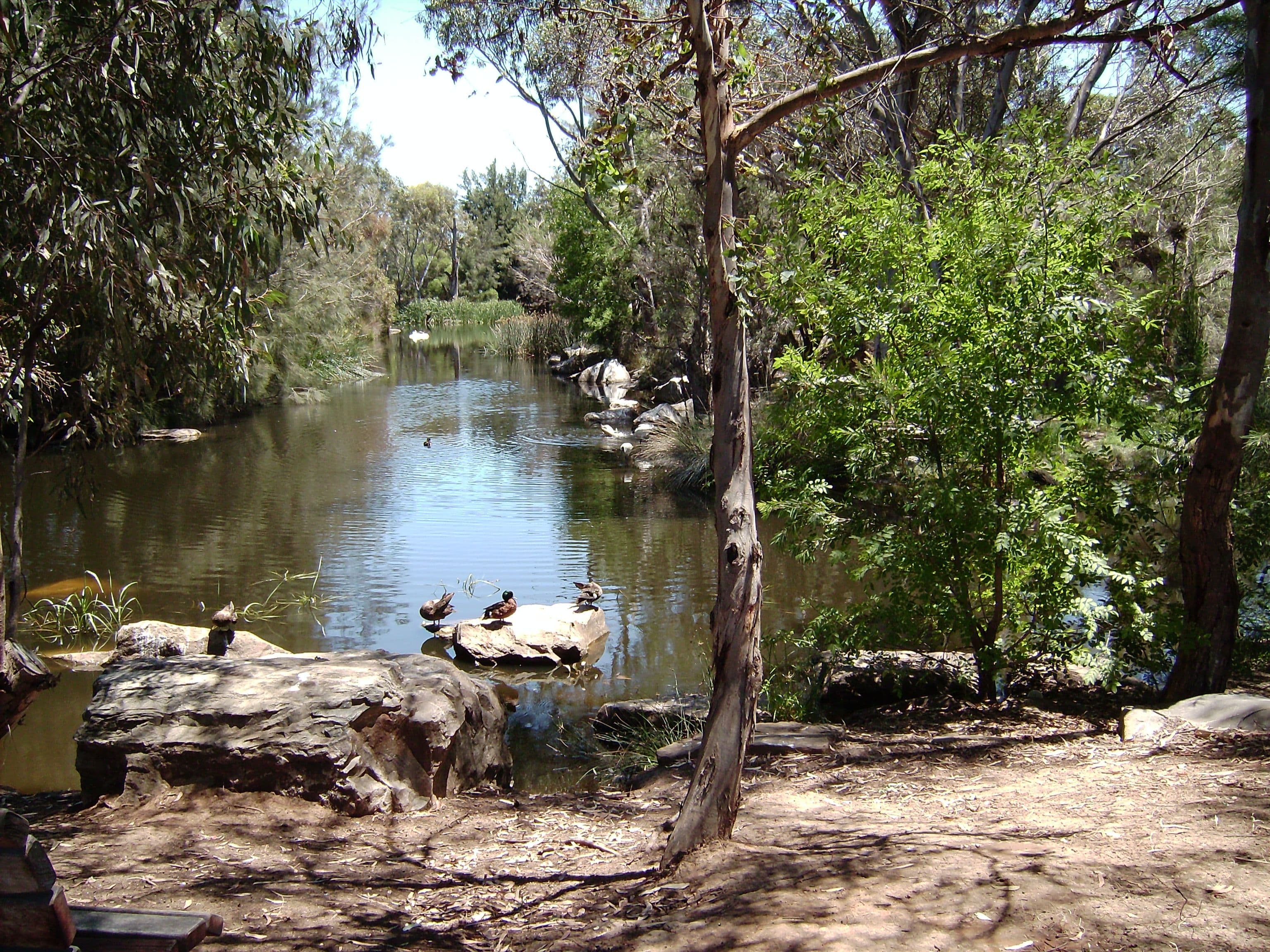 16 Musicka Avenue, Pooraka SA 5095, Pooraka - Thumbnail 2