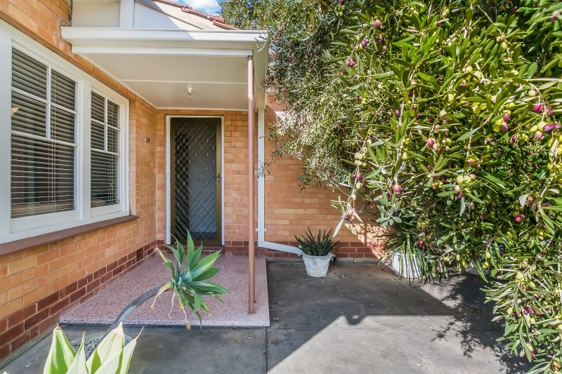 29 Swansea Street, Largs North SA 5016, Largs North - Thumbnail 2