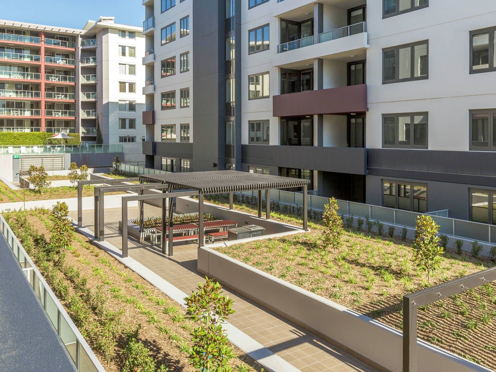 53 Mort Street, Braddon ACT 2612, Braddon - Image 1